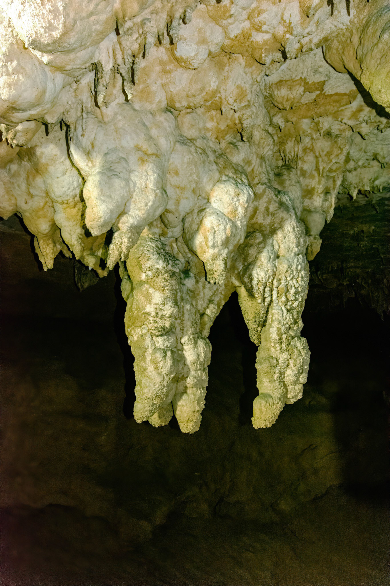 Động Ngườm Ngao (Nguom Ngao Cave)