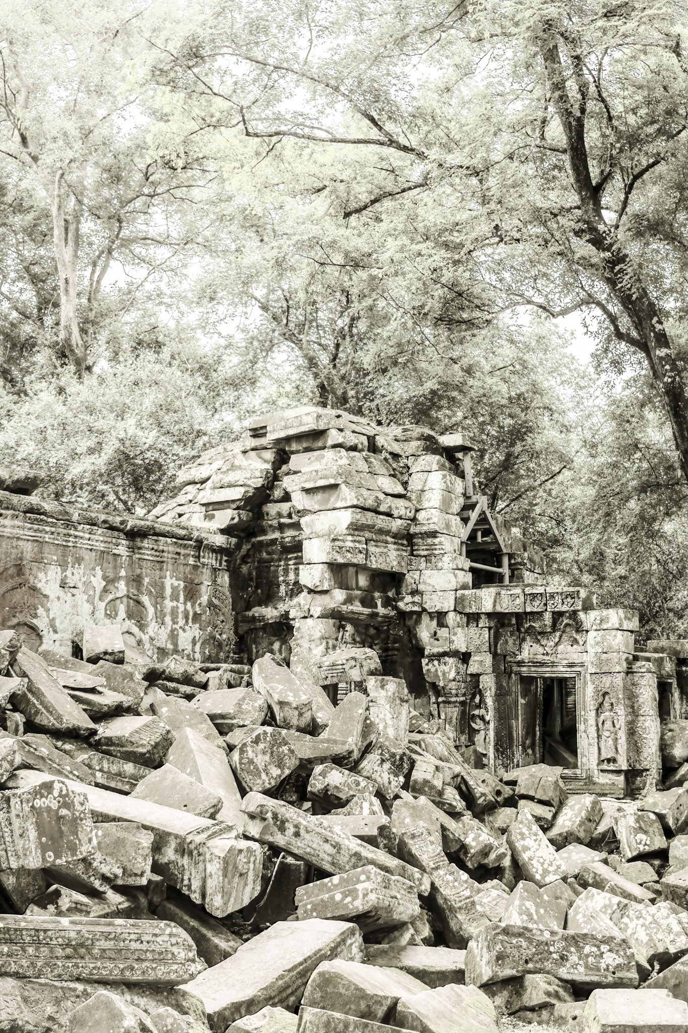 Ta Prohm Temple - ប្រាសាទ តាព្រហ្ម