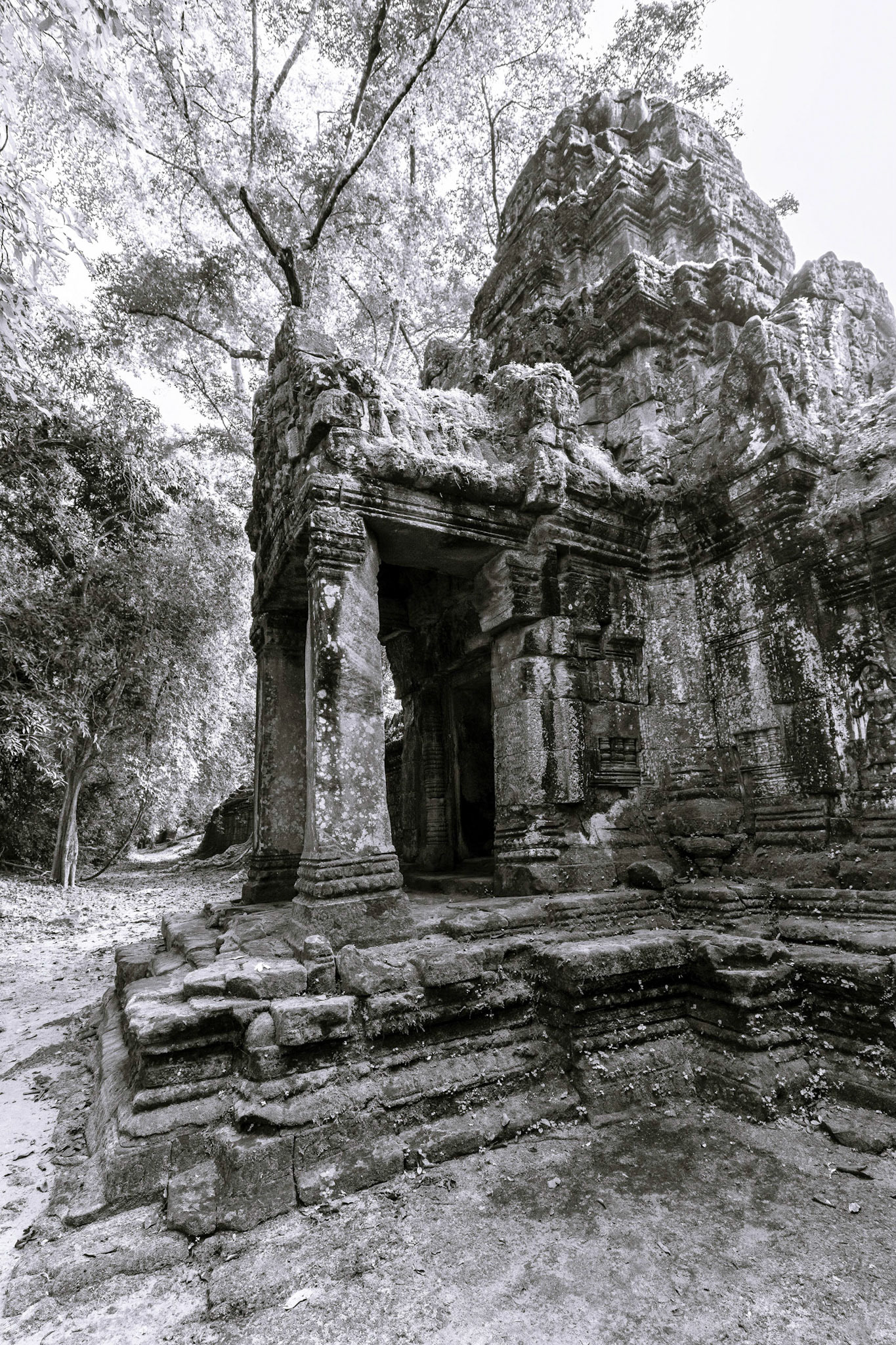 Preah Khan Temple - ប្រាសាទព្រះខ័ន