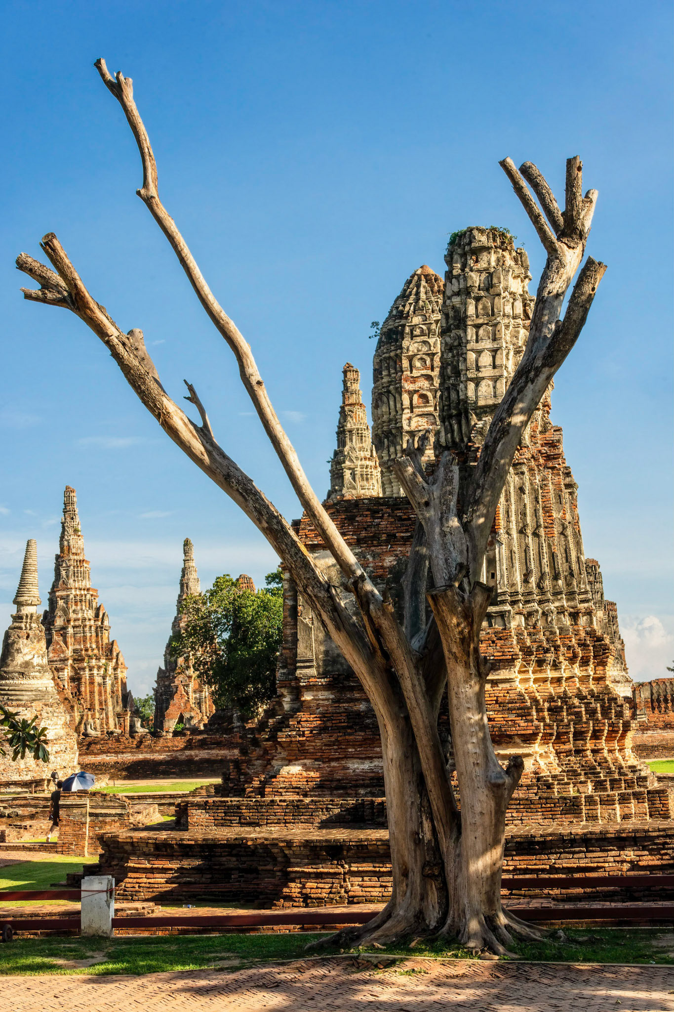Wat Chai Watthanaram or the “Monastery of the Victorious and Prosperous Temple”