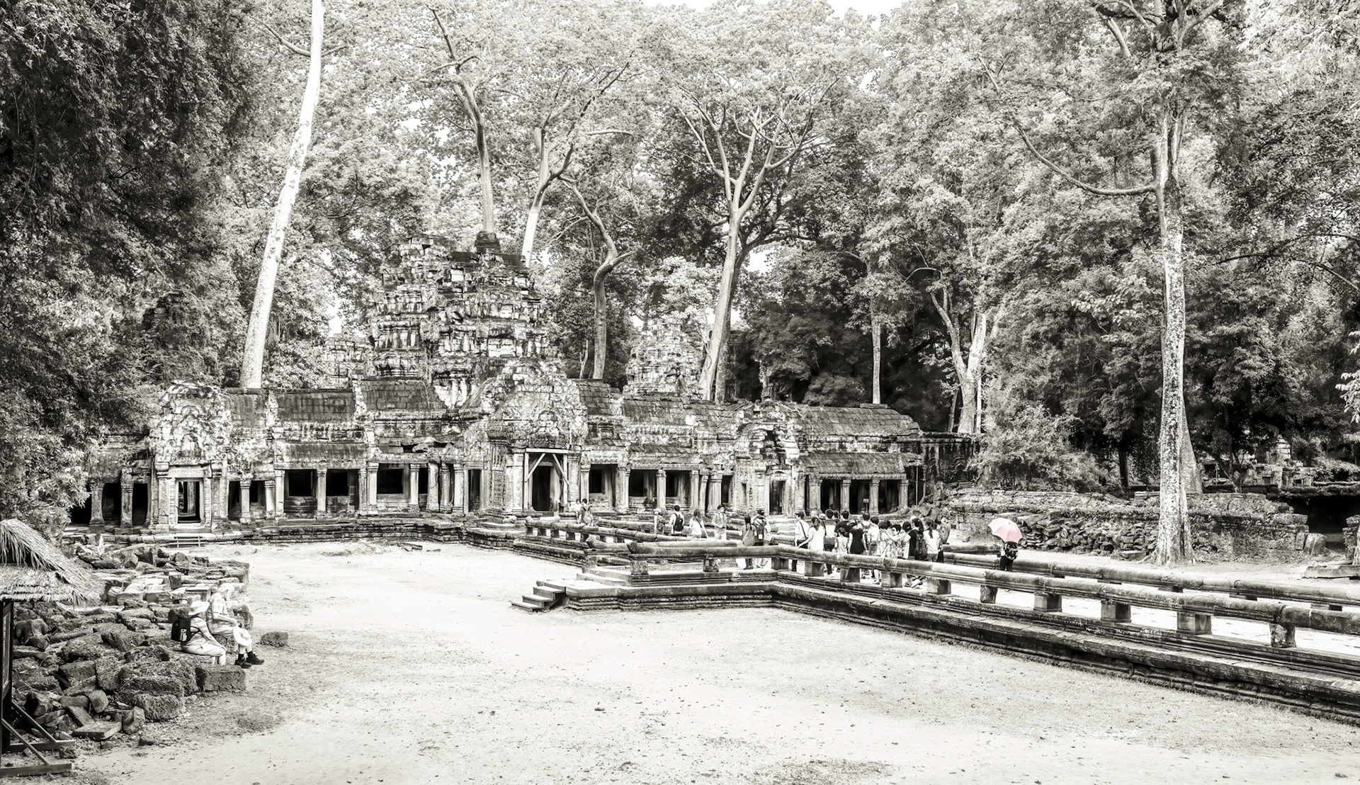 Ta Prohm Temple - ប្រាសាទ តាព្រហ្ម