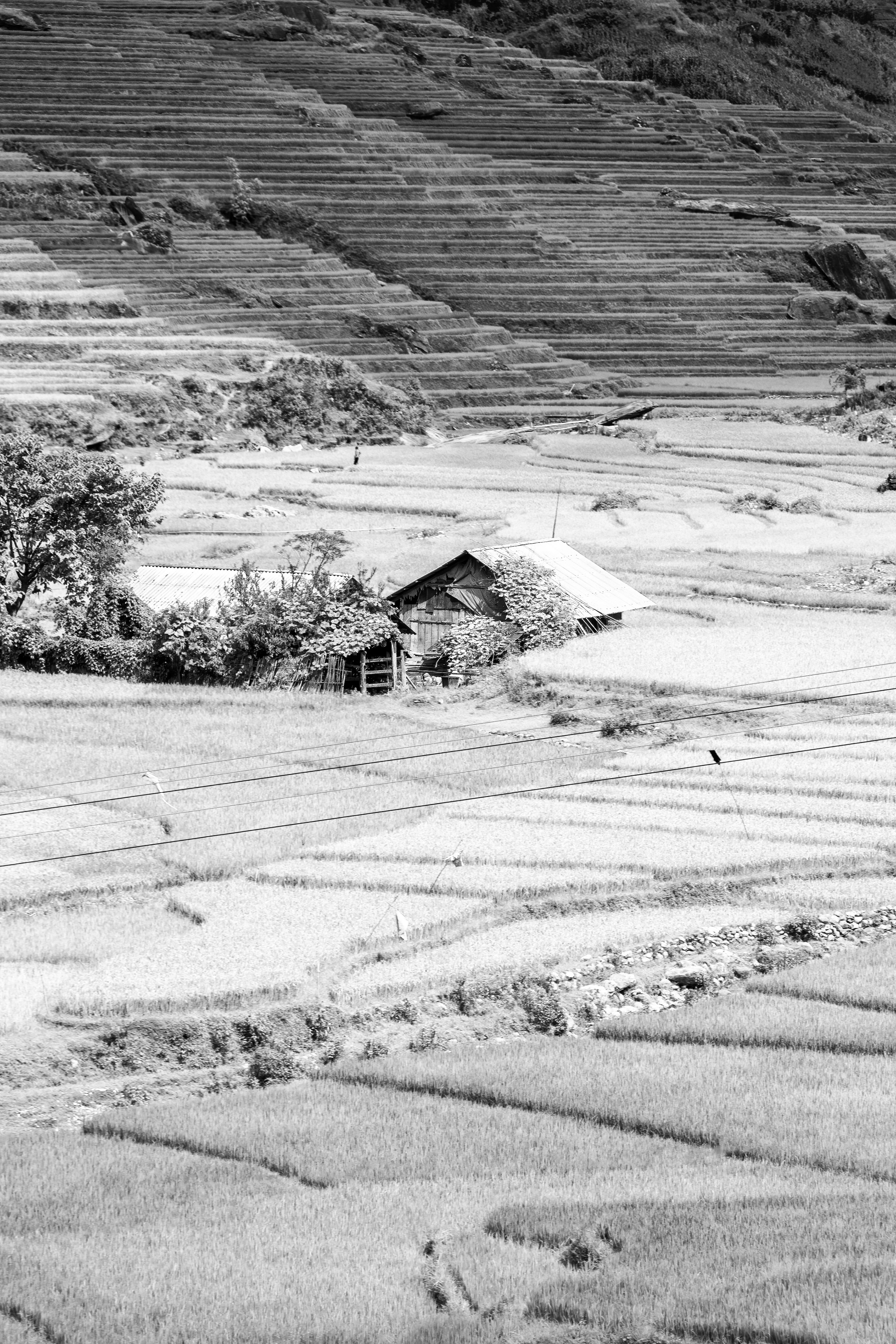 Ta Phin Village, Sa Pa