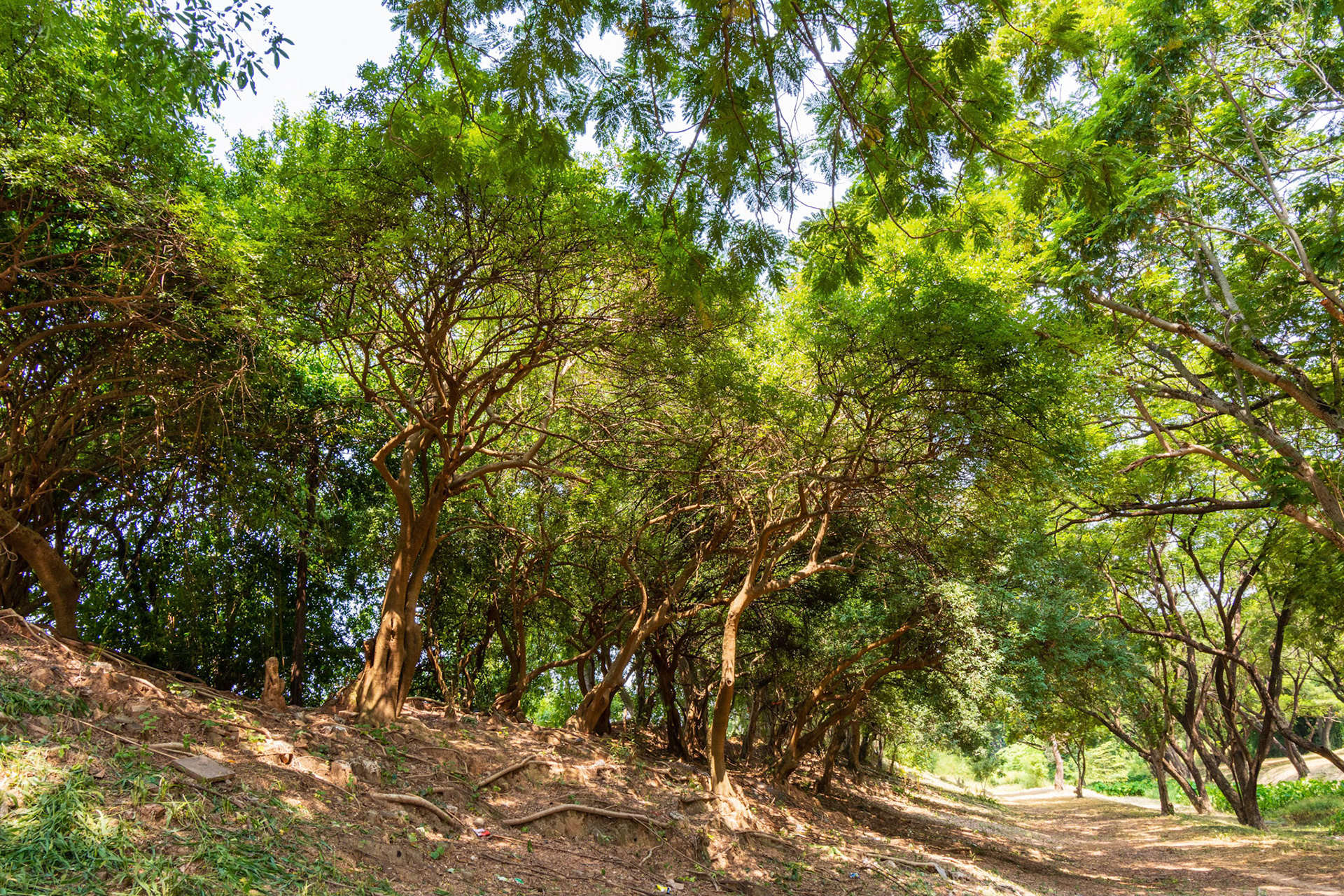 Old Ramparts