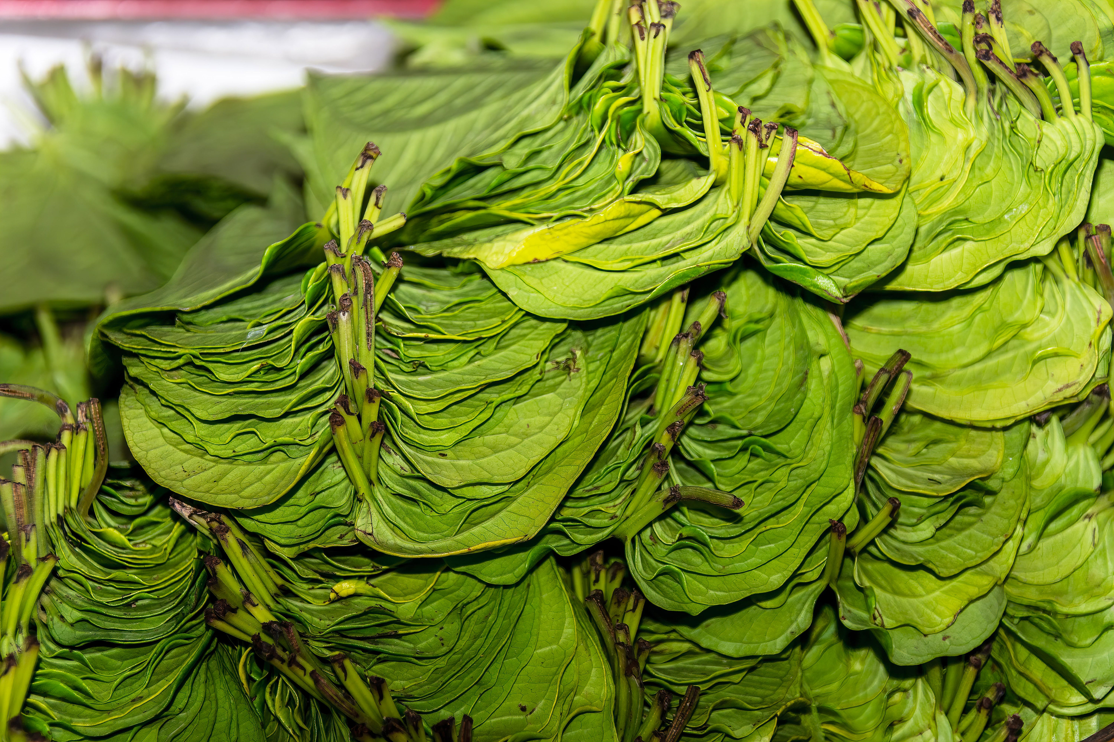 Vĩnh Long