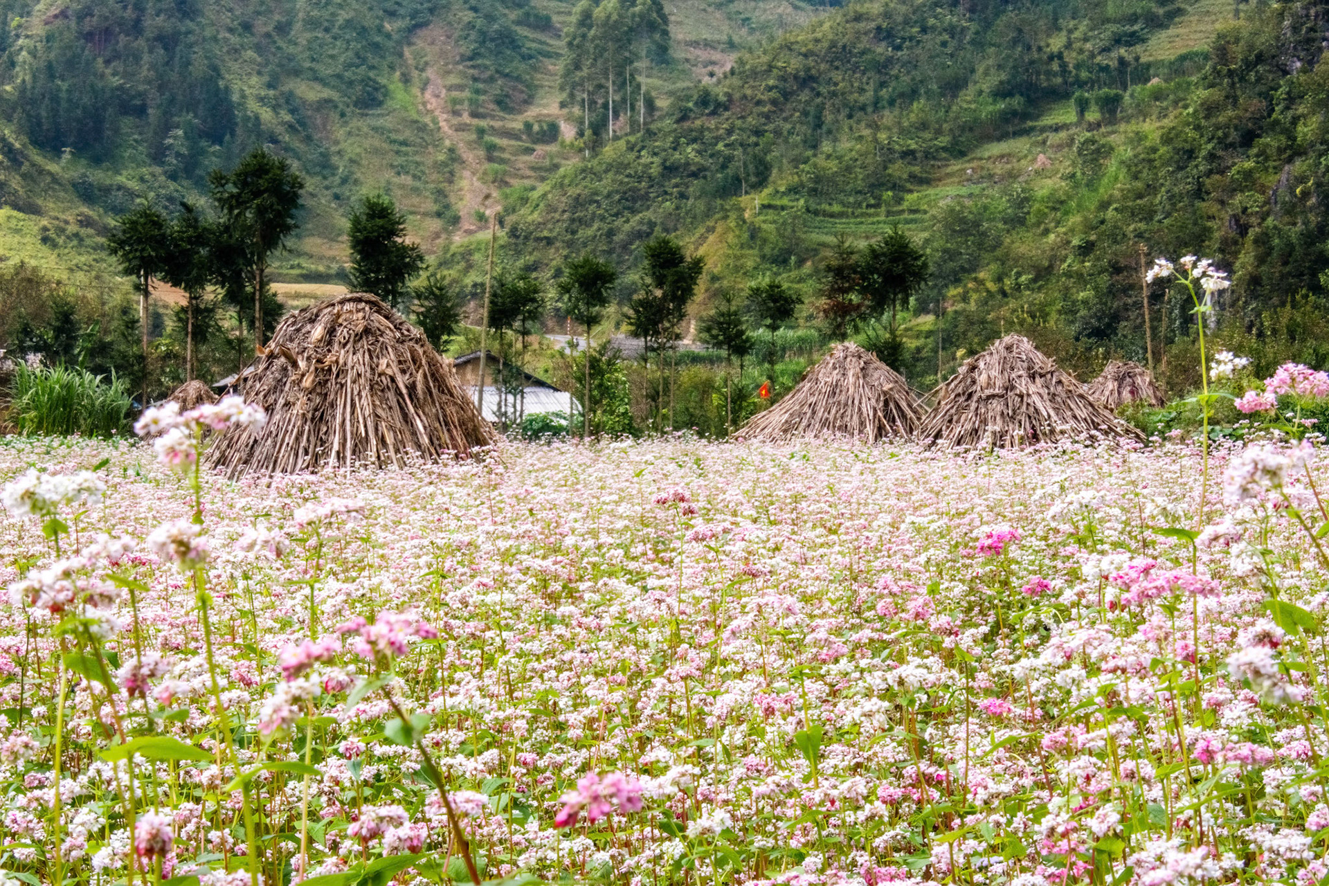 Sủng Là Valley
