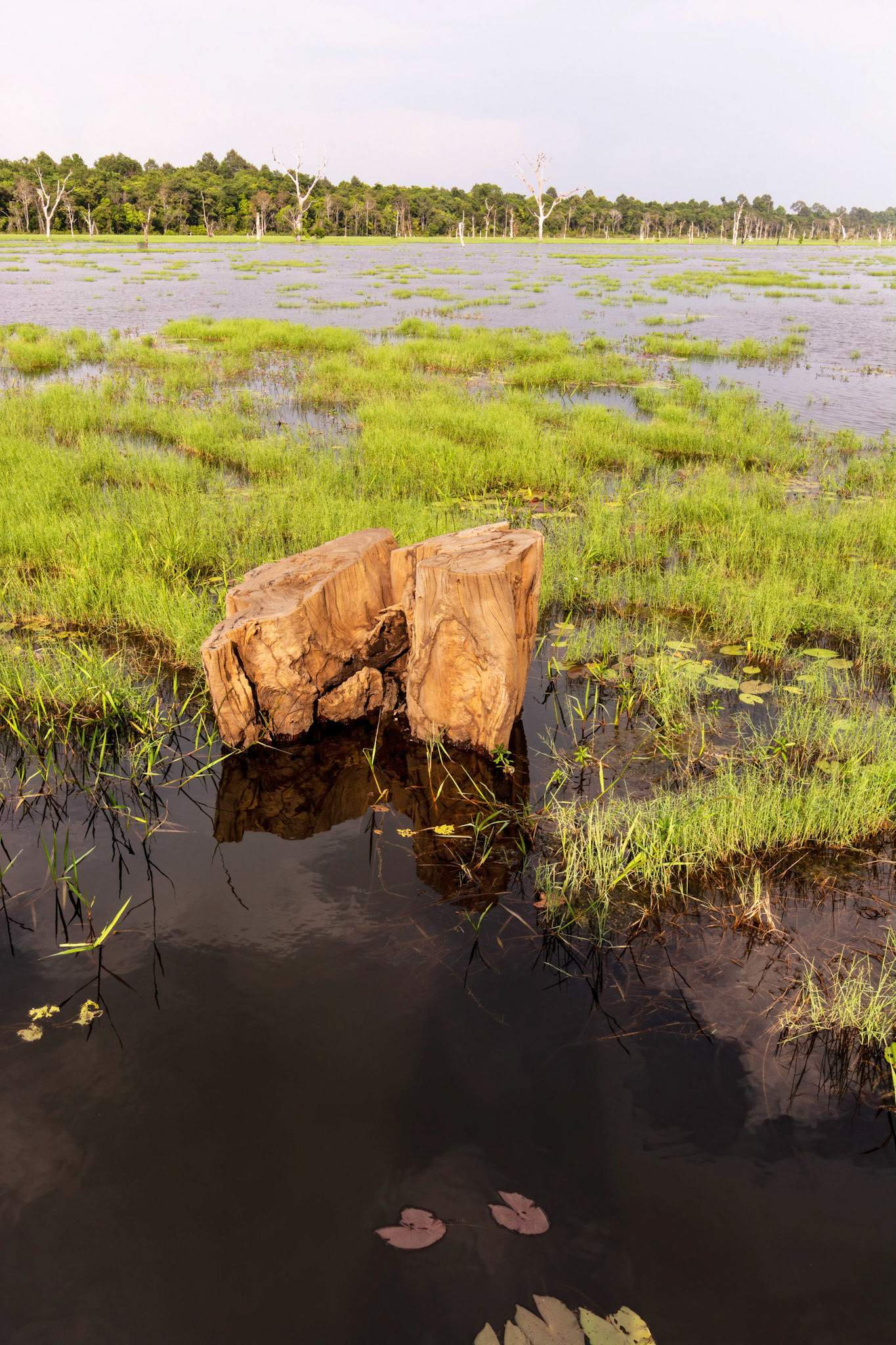 Jayatataka Baray