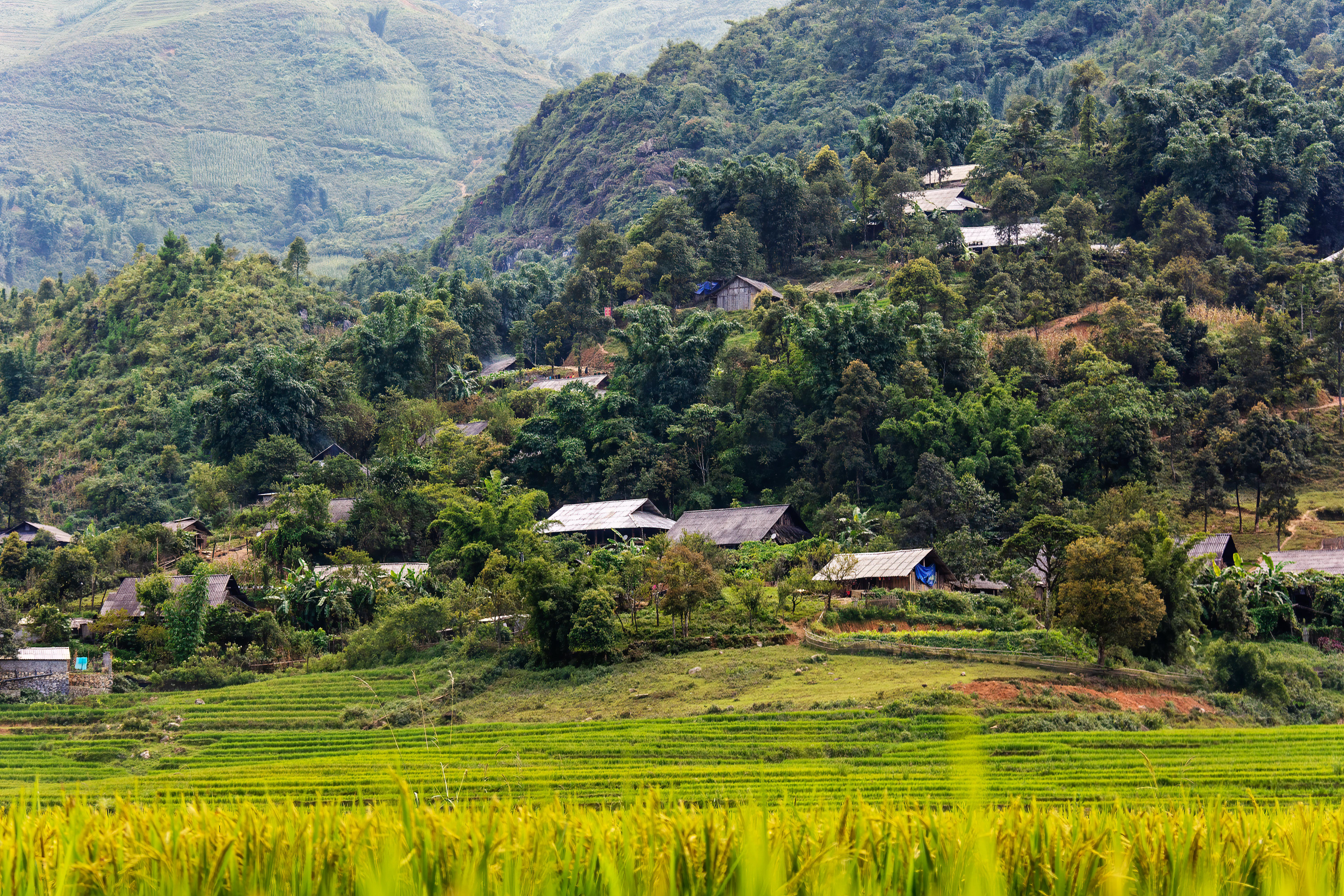 Ta Phin Village, Sa Pa