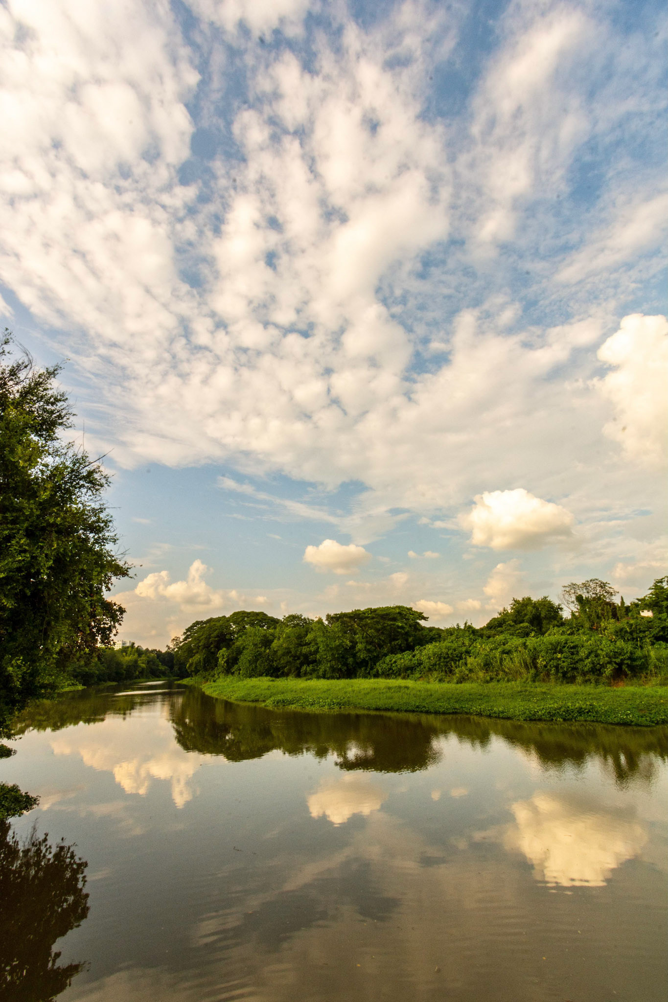 Looking across the Ping River