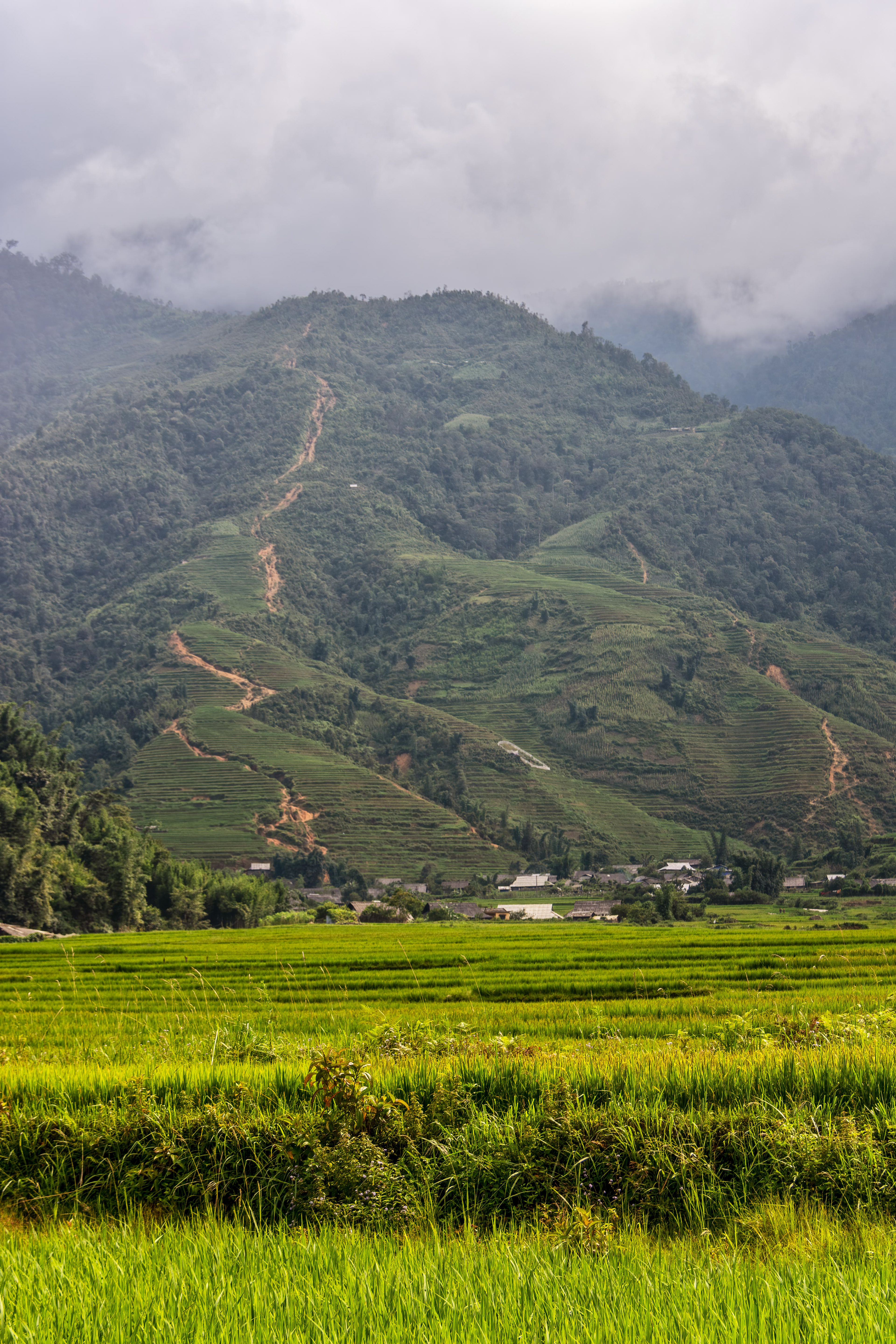 Ta Phin Village, Sa Pa