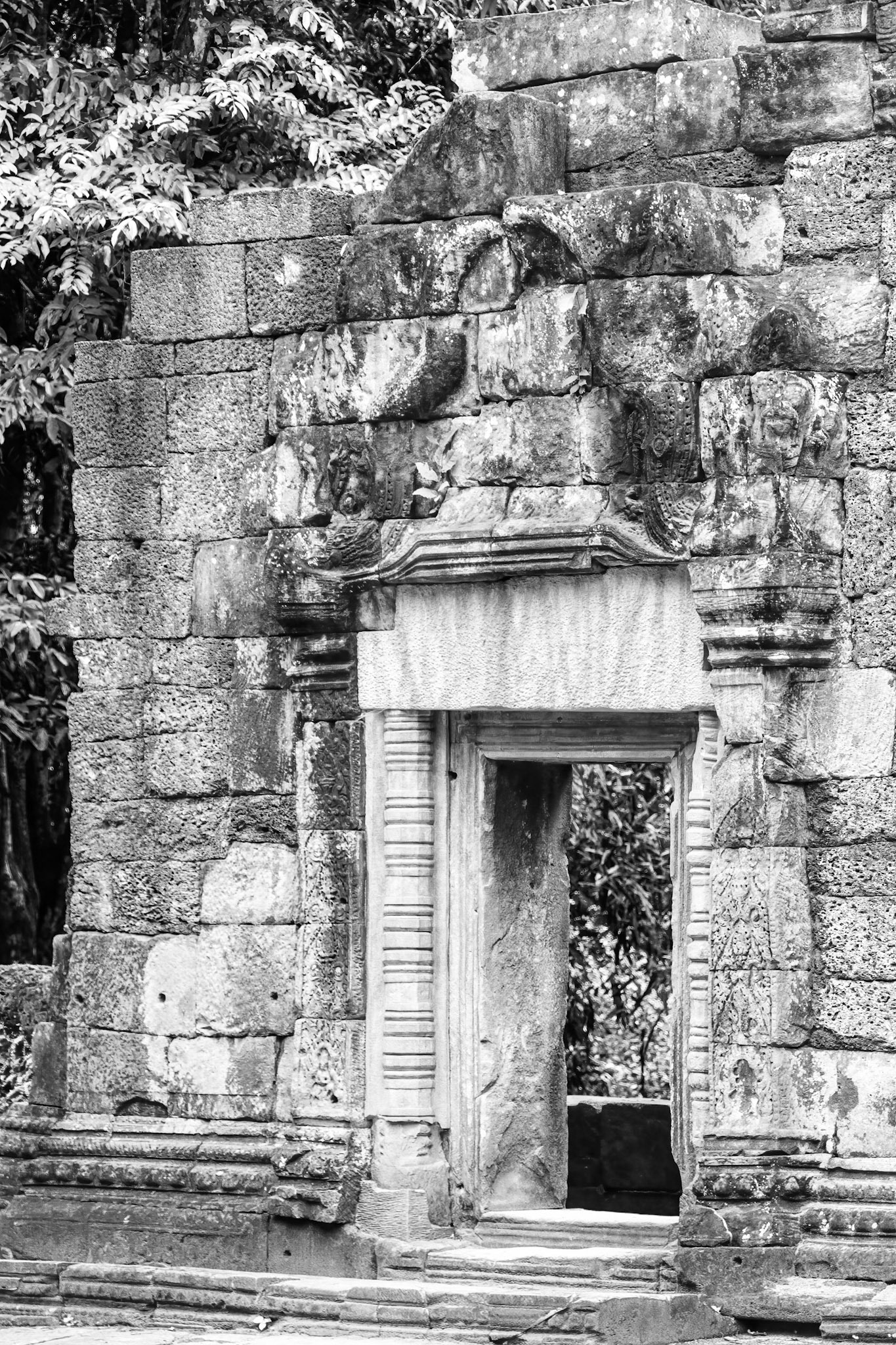 Ta Prohm Temple - ប្រាសាទ តាព្រហ្ម