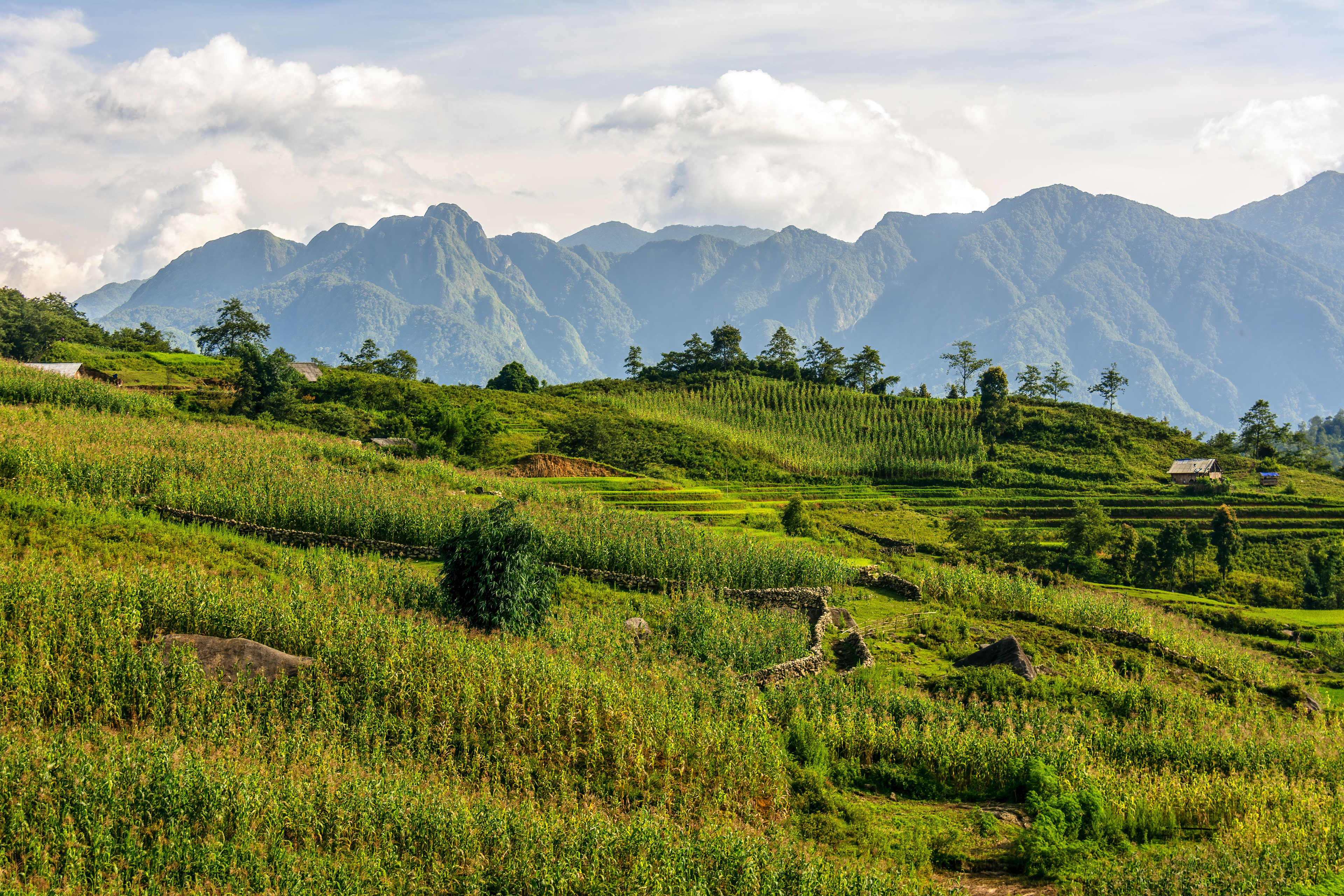 Mường Hoa Valley, Sa Pa