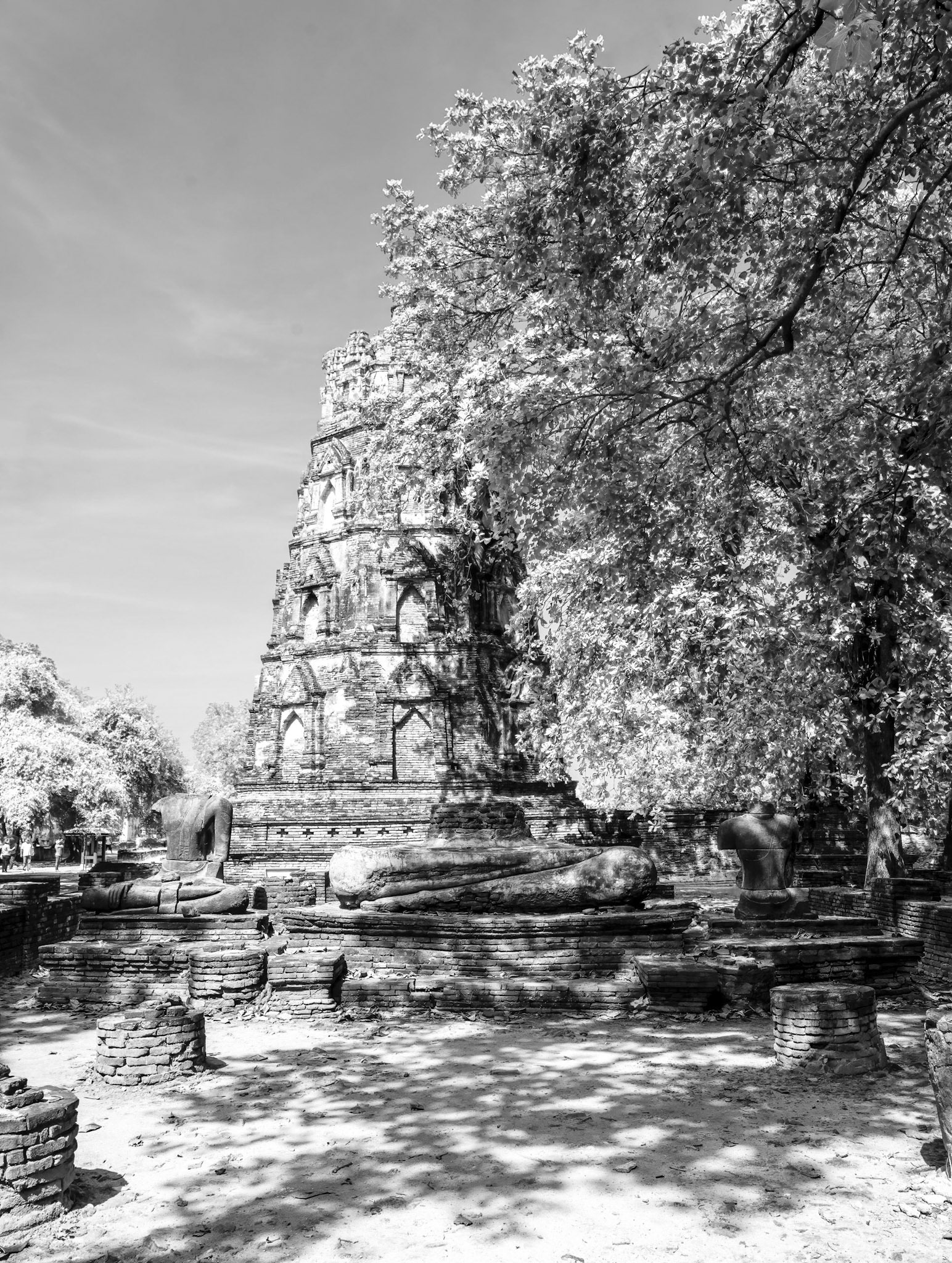 Wat Maha That, built in 1374 and destroyed by the Burmese in 1767.