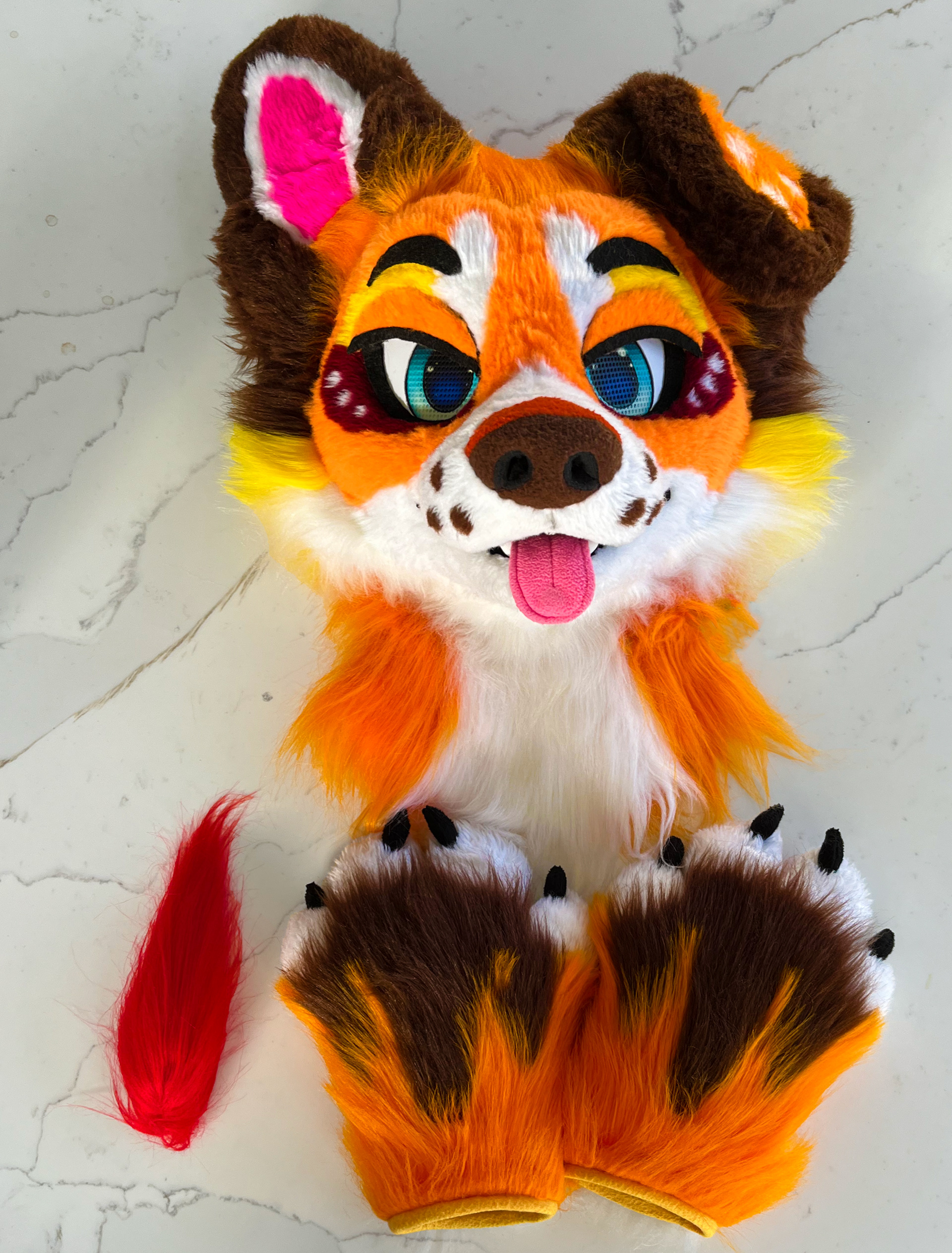 Azzy Head and Paws Showcase