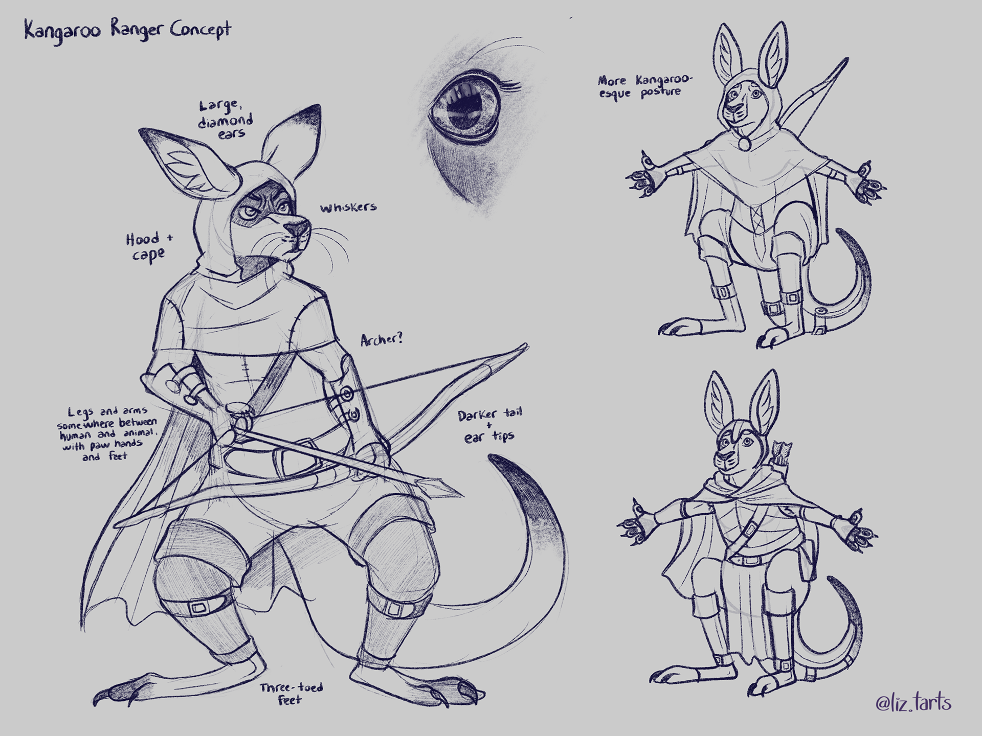 Kangaroo design concepts, 2021