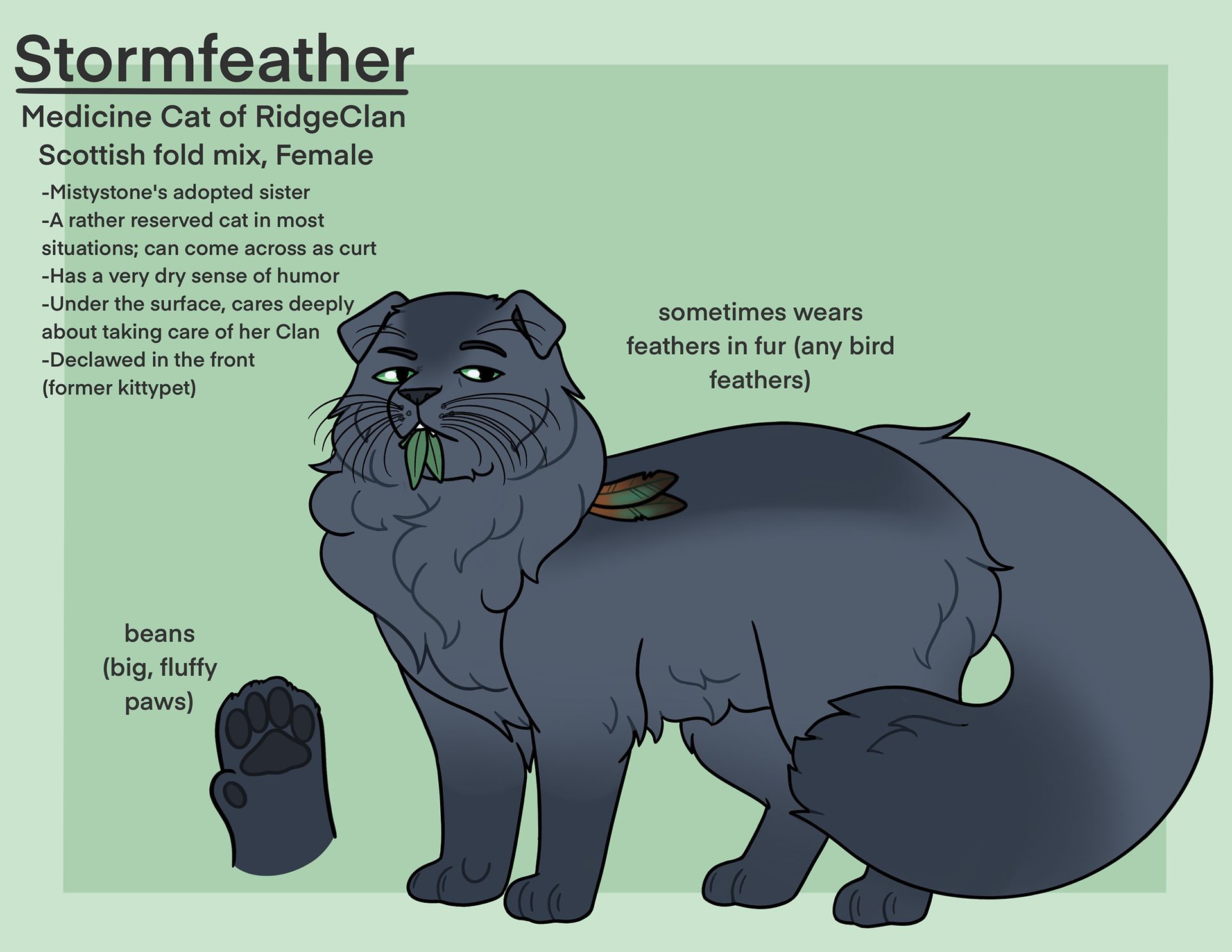 Cat character design, 2021
