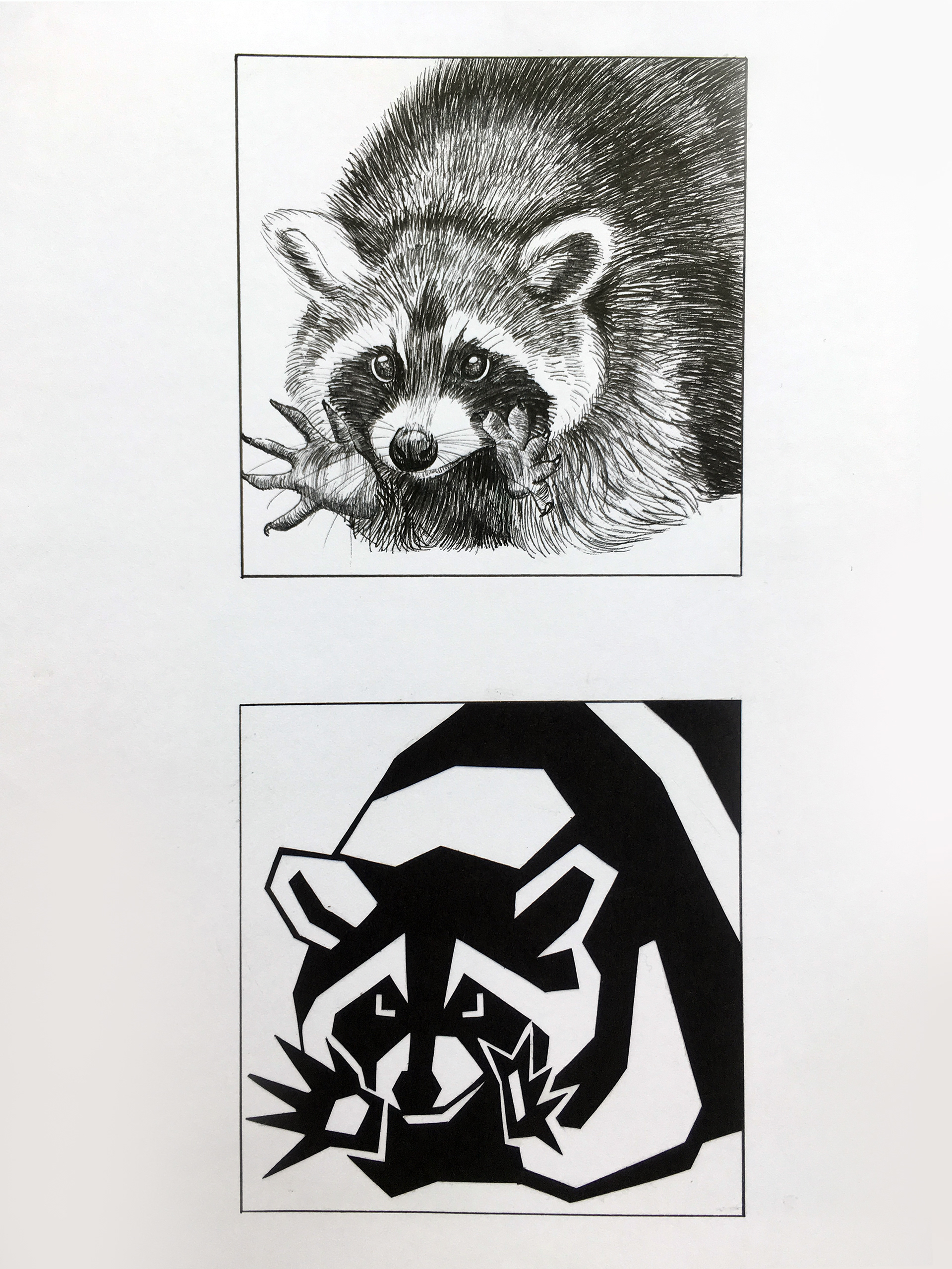 One of a series of raccoon ink drawings and paper cutouts I did, completed in fall of 2018