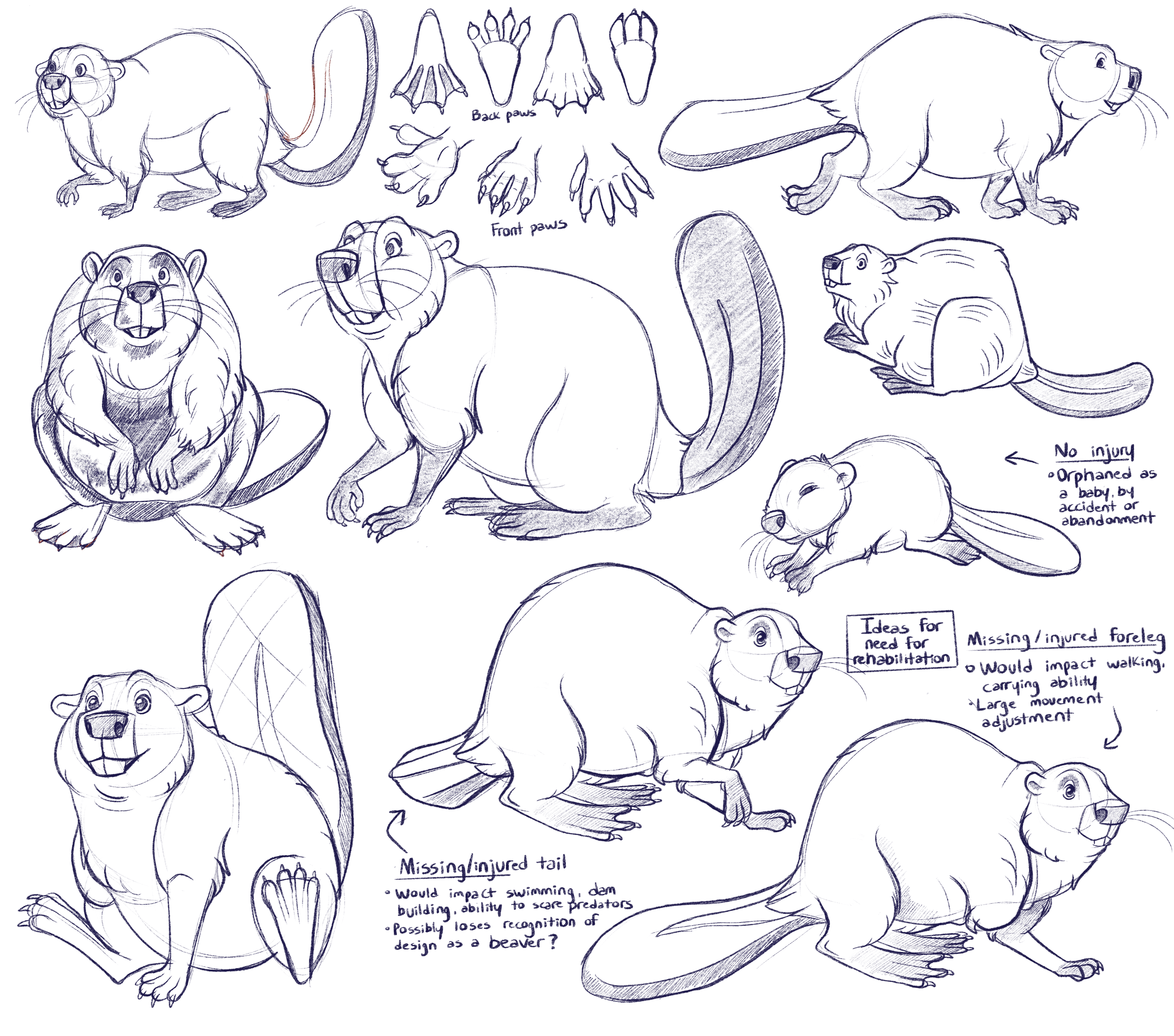 Beaver character concepts, 2021
