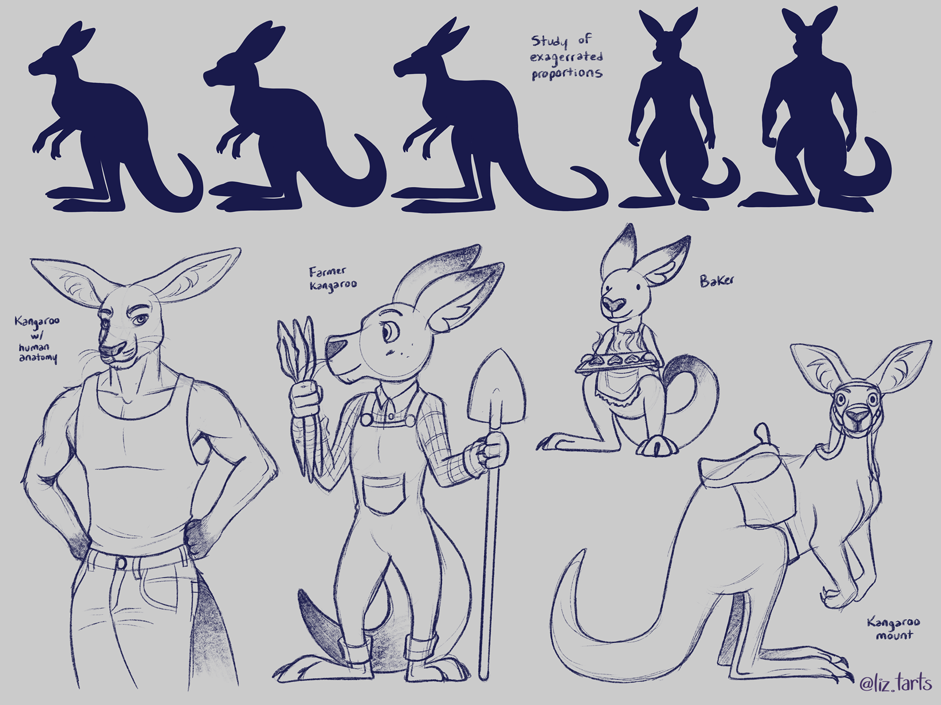 Kangaroo design concepts, 2021