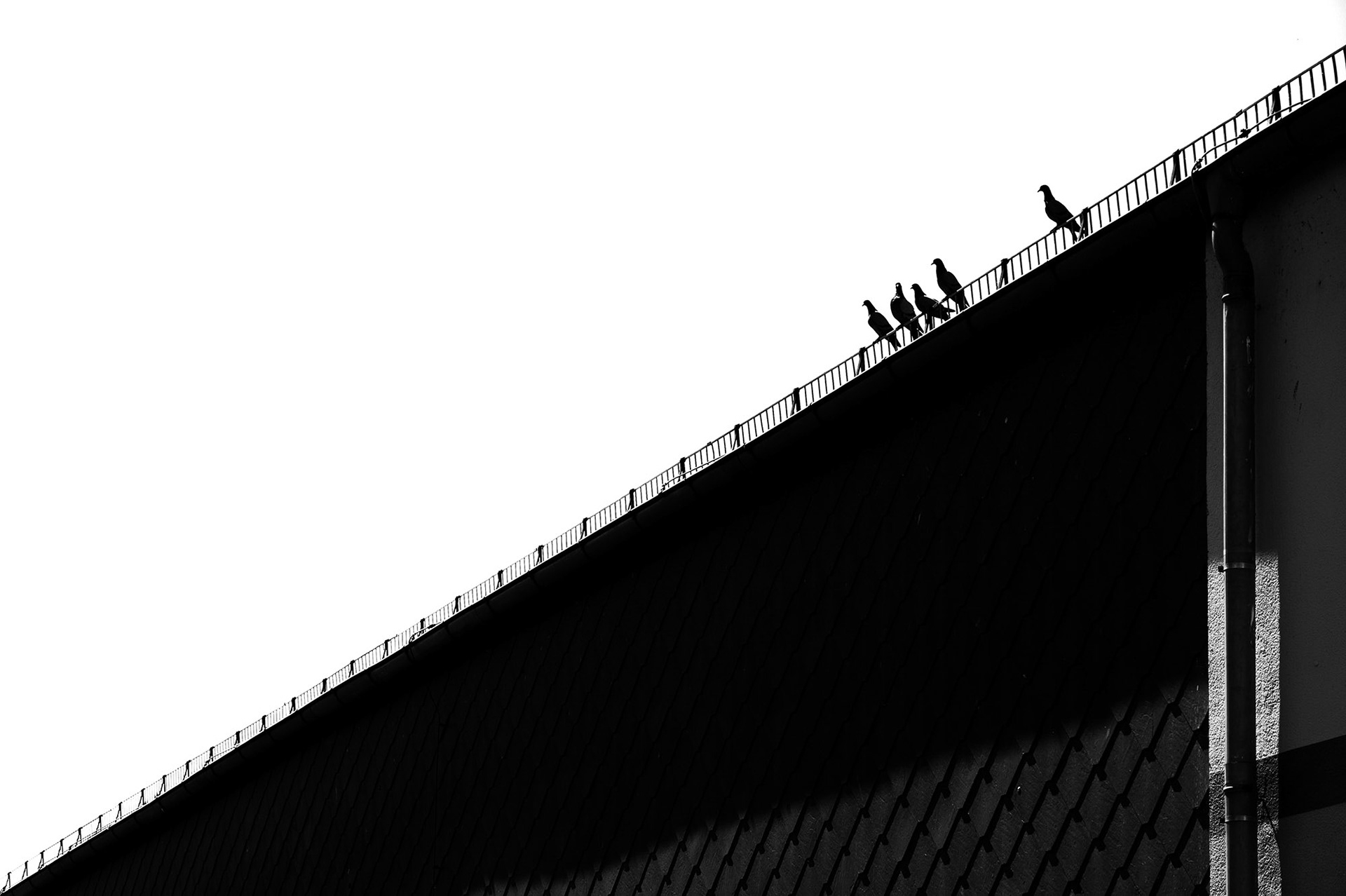 "Fünfe gerade sein lassen", 2024