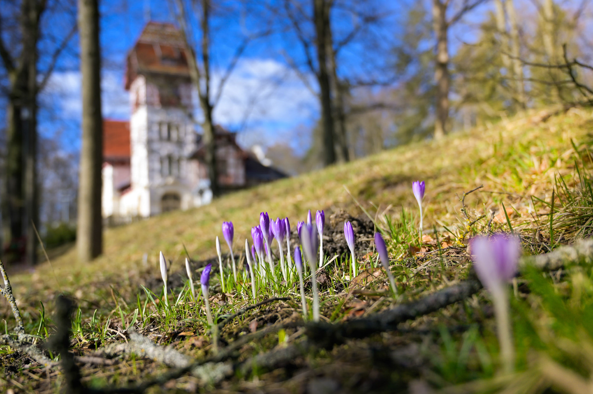 "Frühling am Theresienstein", 2022