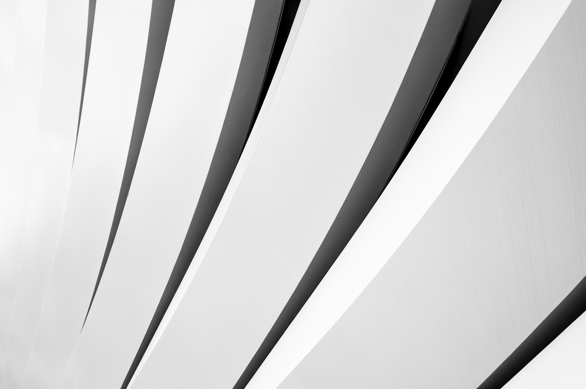 "SAP-Garden 1", 2025