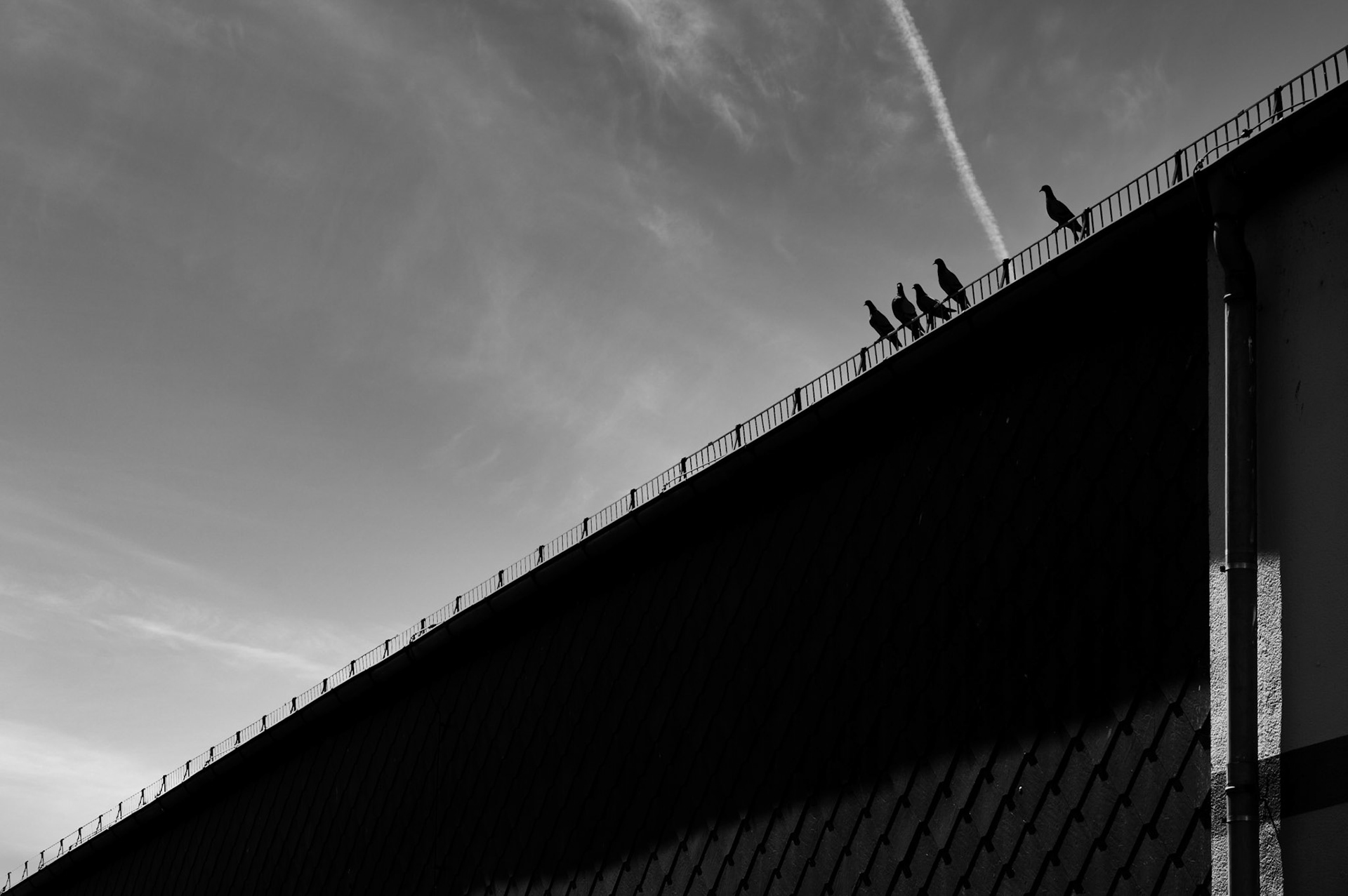 "Außenseiter", 2024