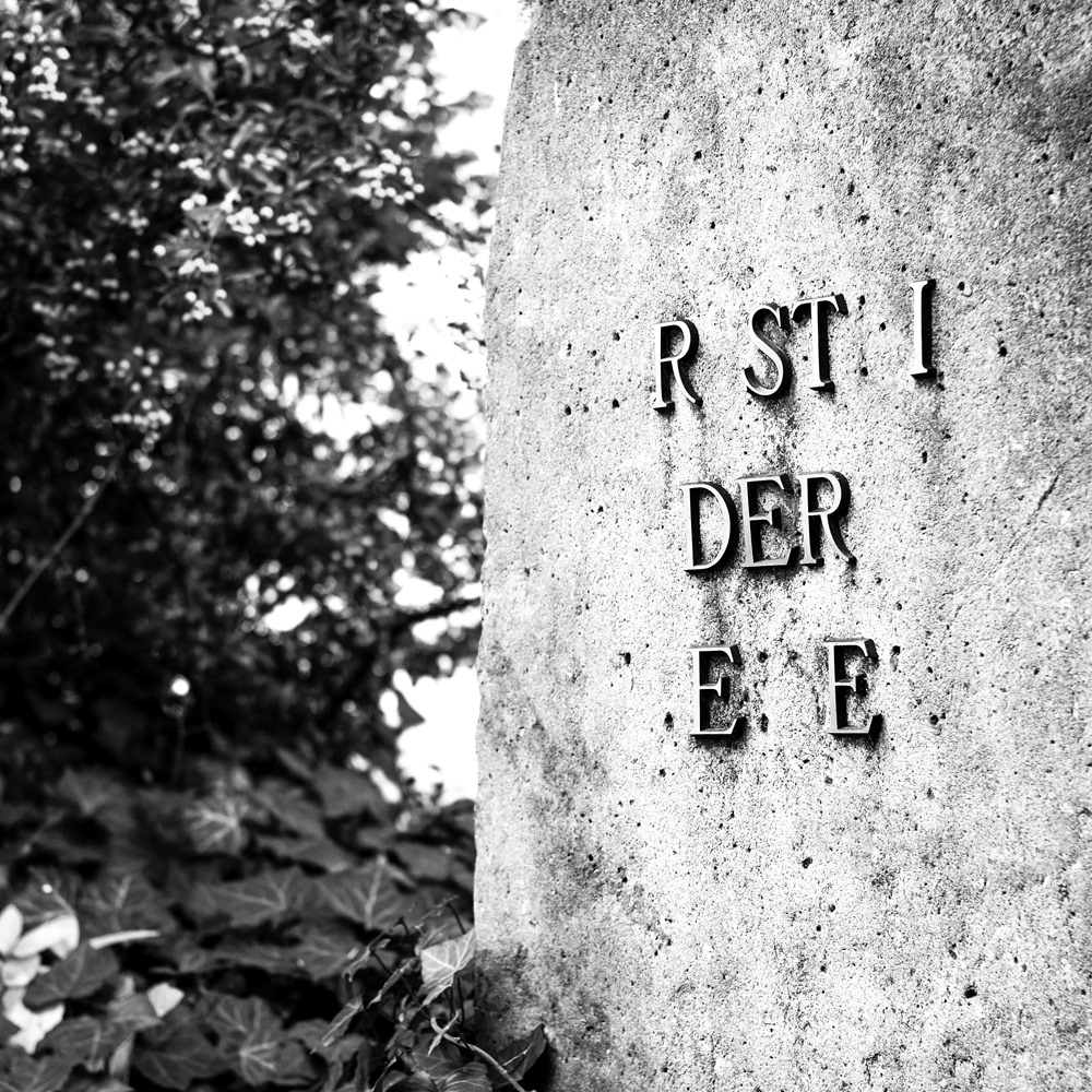 318 - Rätsel