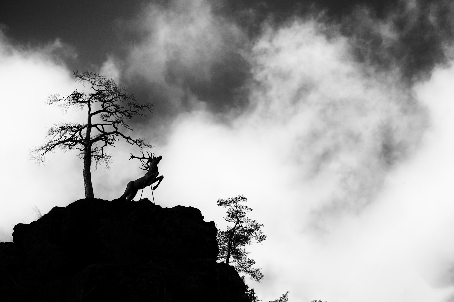 "Hirschsprungblick", 2023