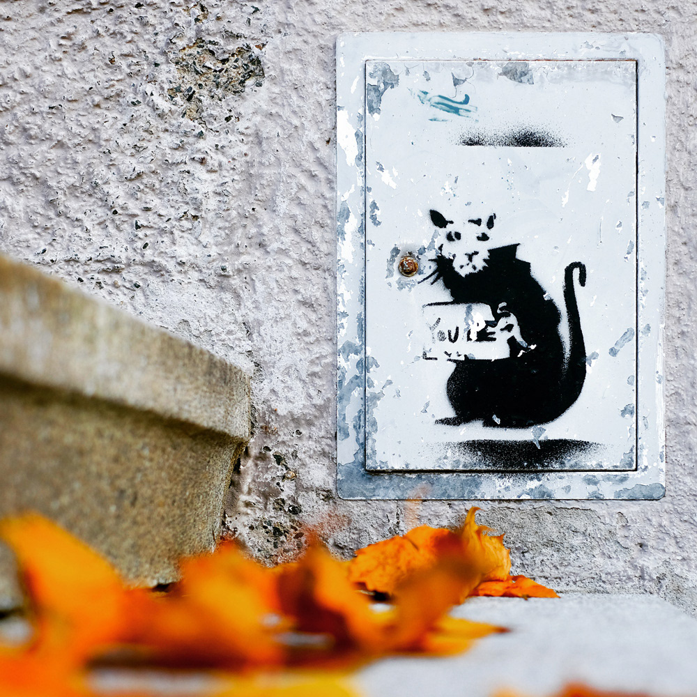 303 - Hofer Banksy