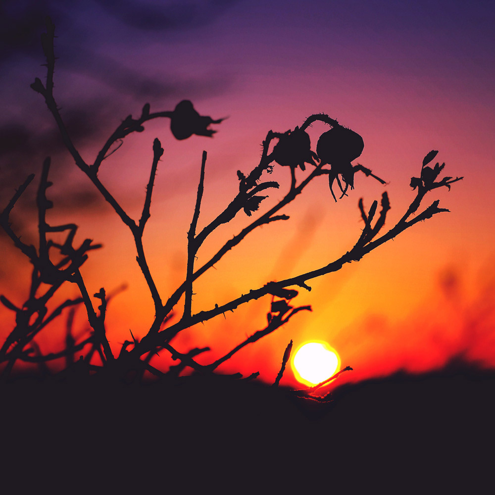 085 - Last Lights
