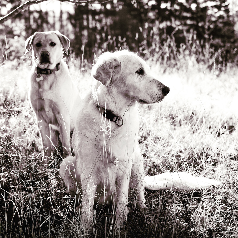 312 - Leni & Leo