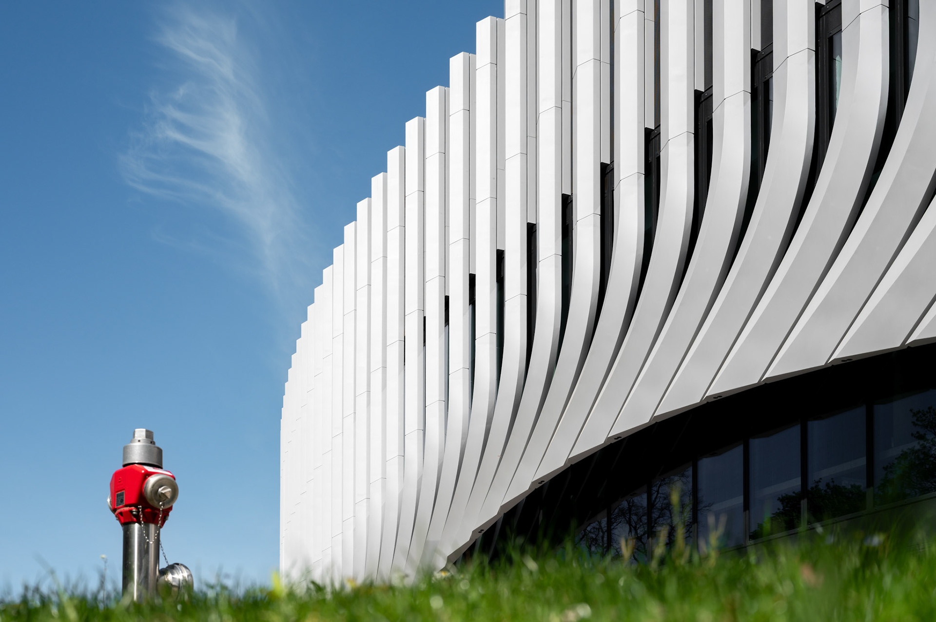 "SAP-Garden 3", 2025