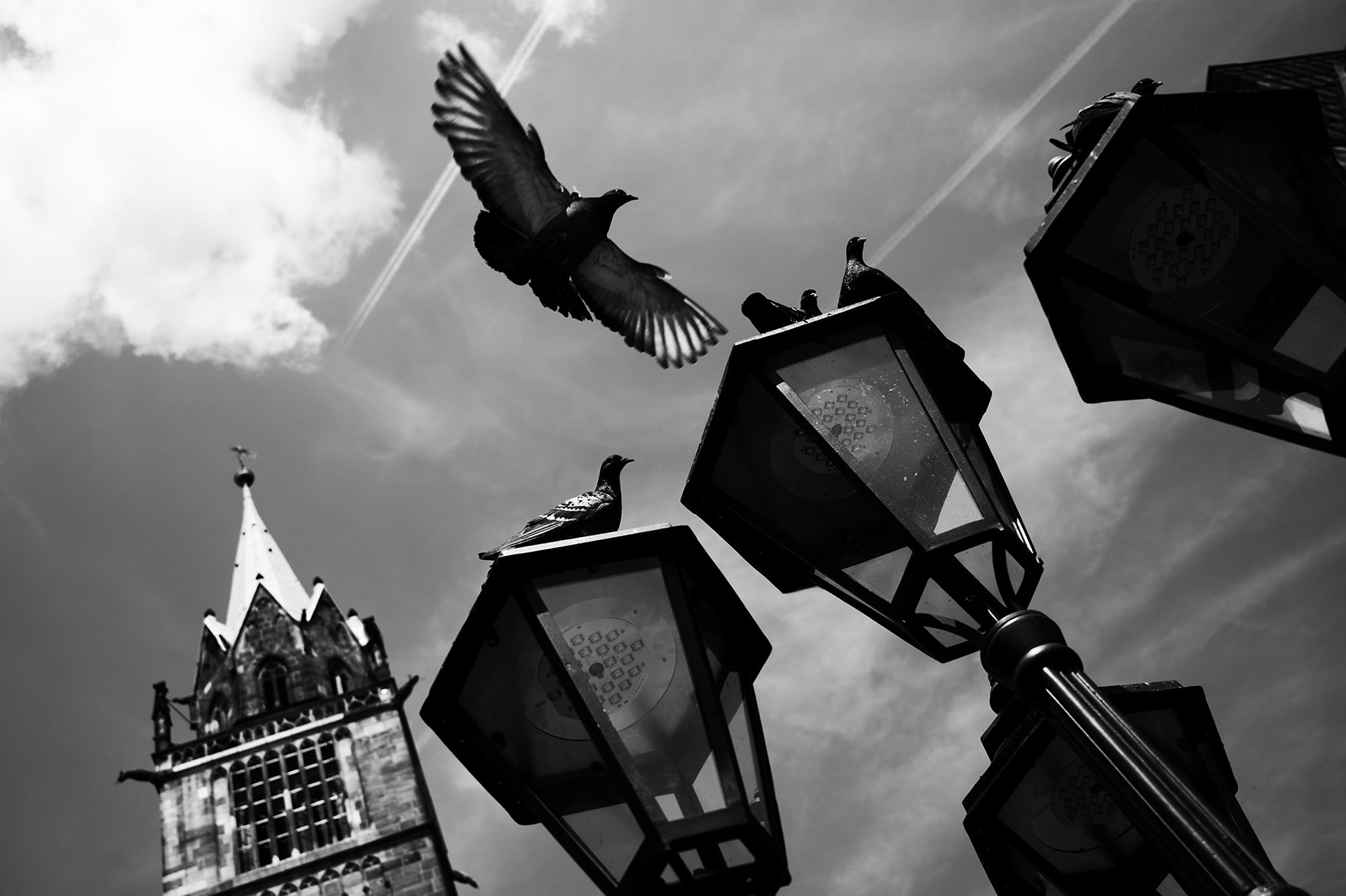 "Über den Dächern von Nürnberg", 2024