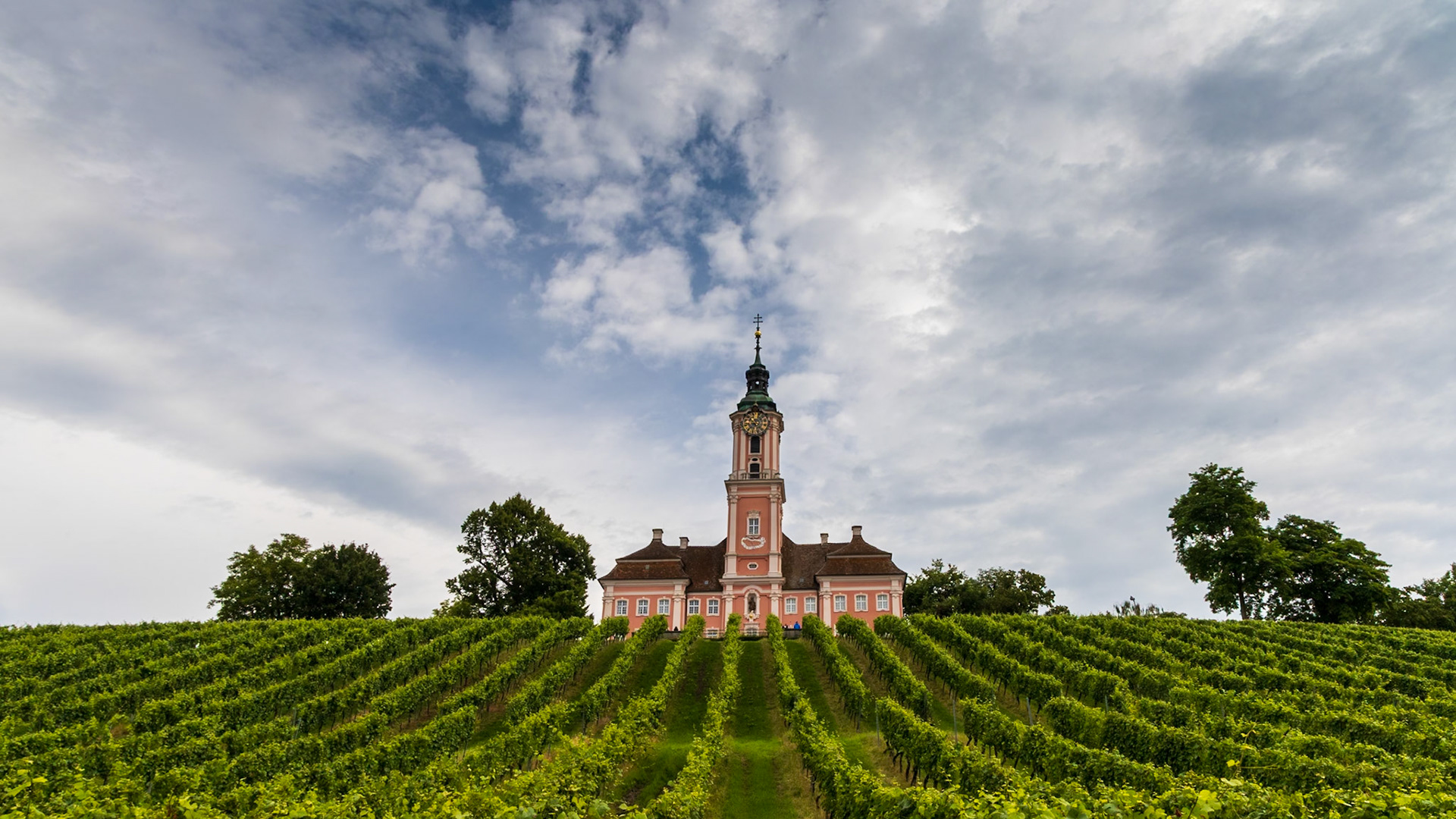 Weinreben, Kirche, Birnau, Wolken