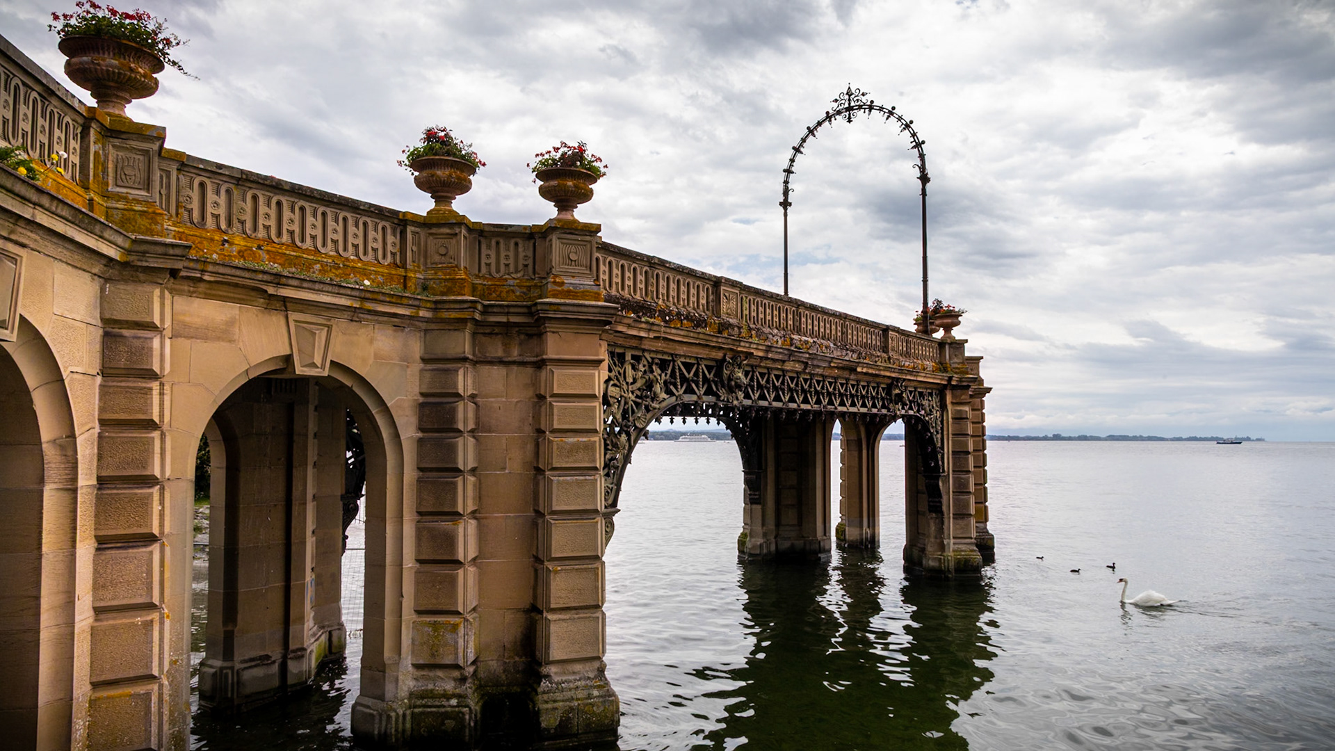 Schloßhafen, Bootssteg, Schwan, Bodensee,