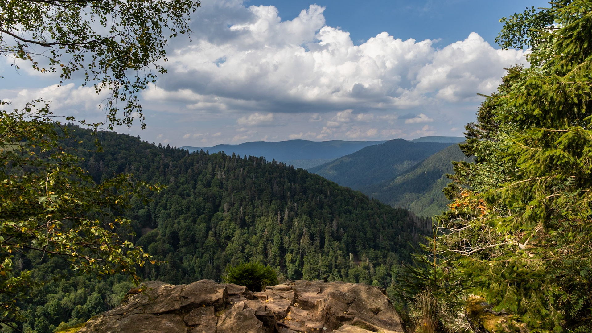 Ausblick vom Howartfelsen Richtung Simonswald
