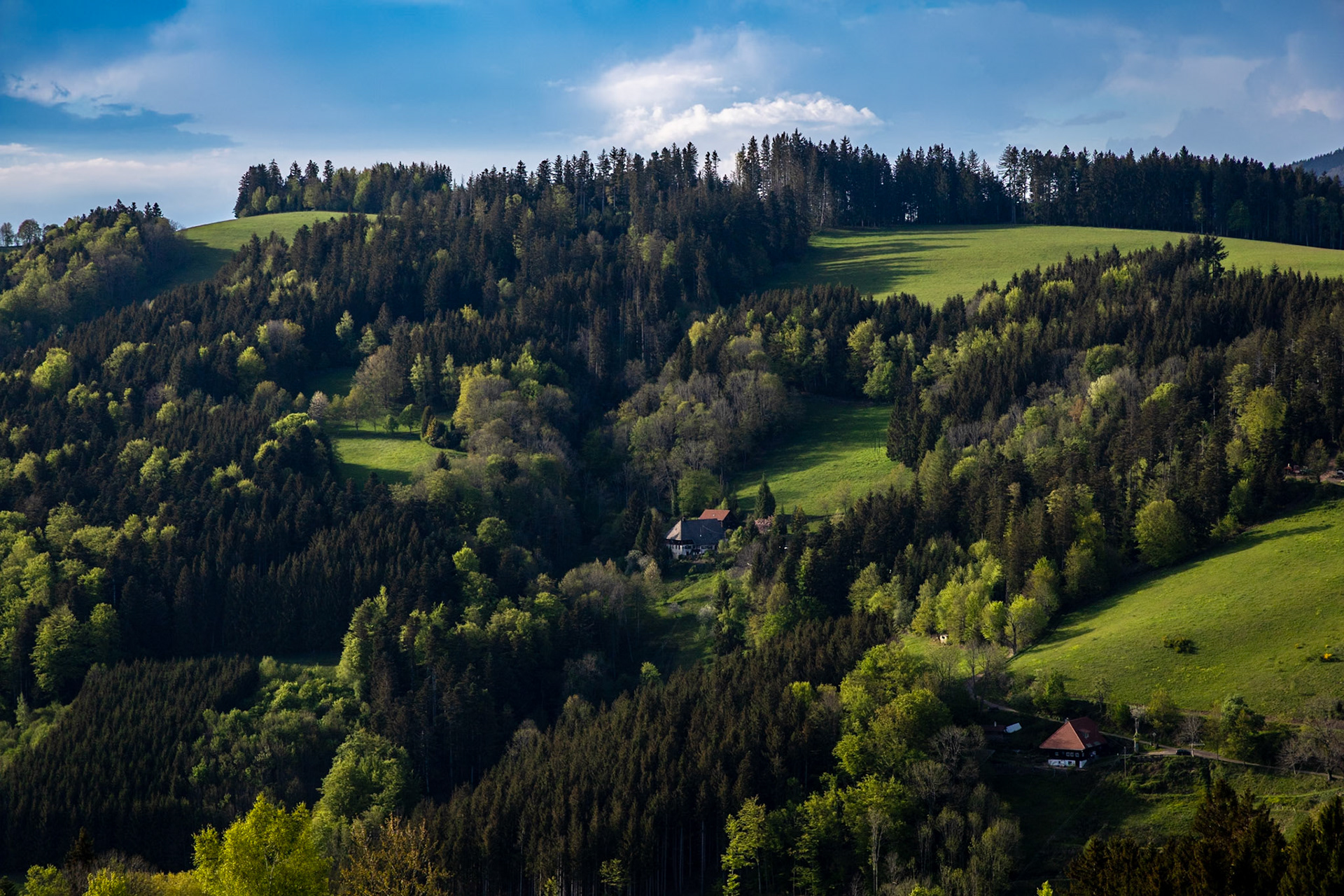 Schwarzwaldhöfe versteckt im Wald