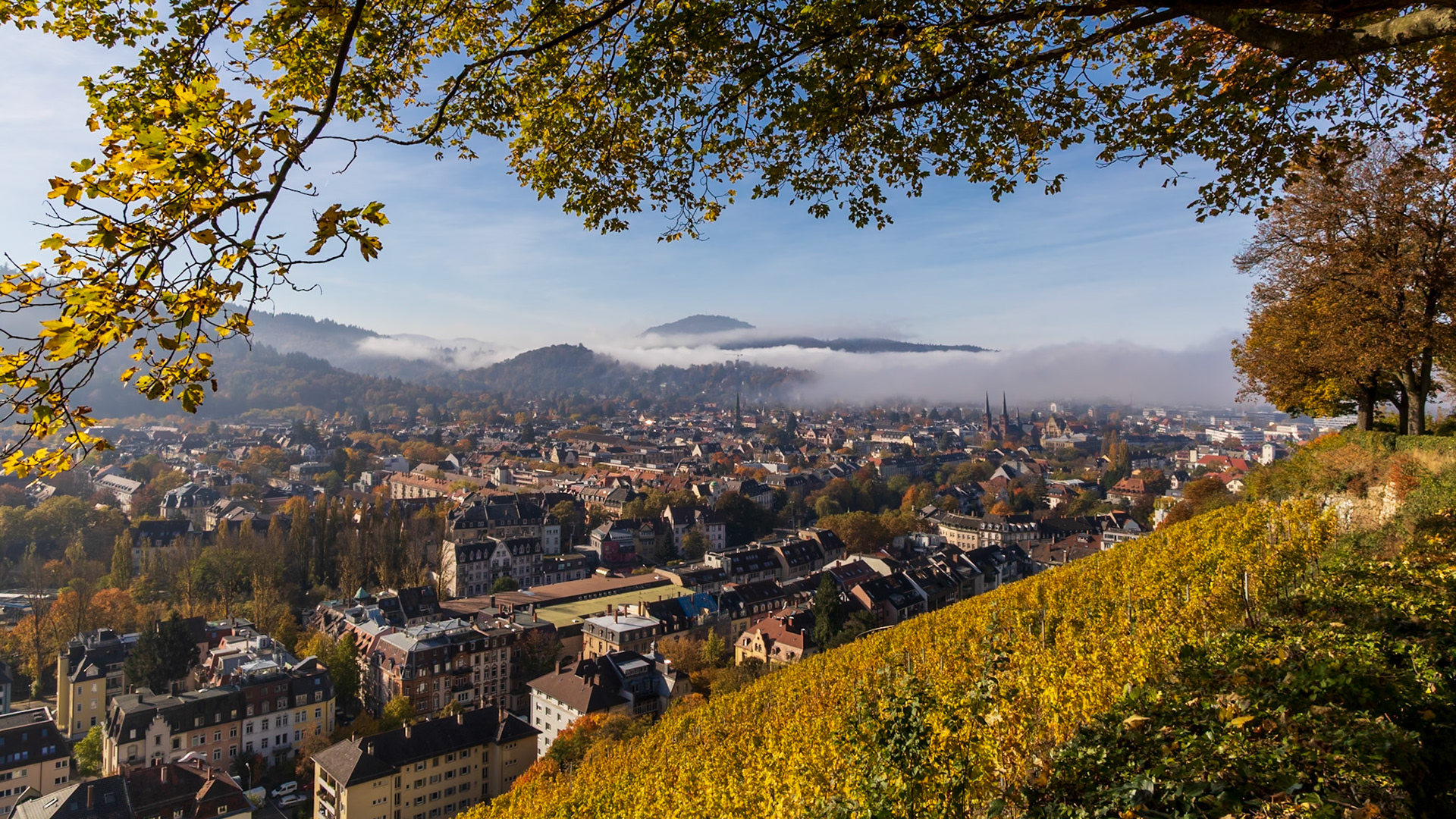 Freiburg mit herbstlichen Nebel. Blick Richtung Schneeberg vom Kanonenplatz am Schloßberg in Freiburg.