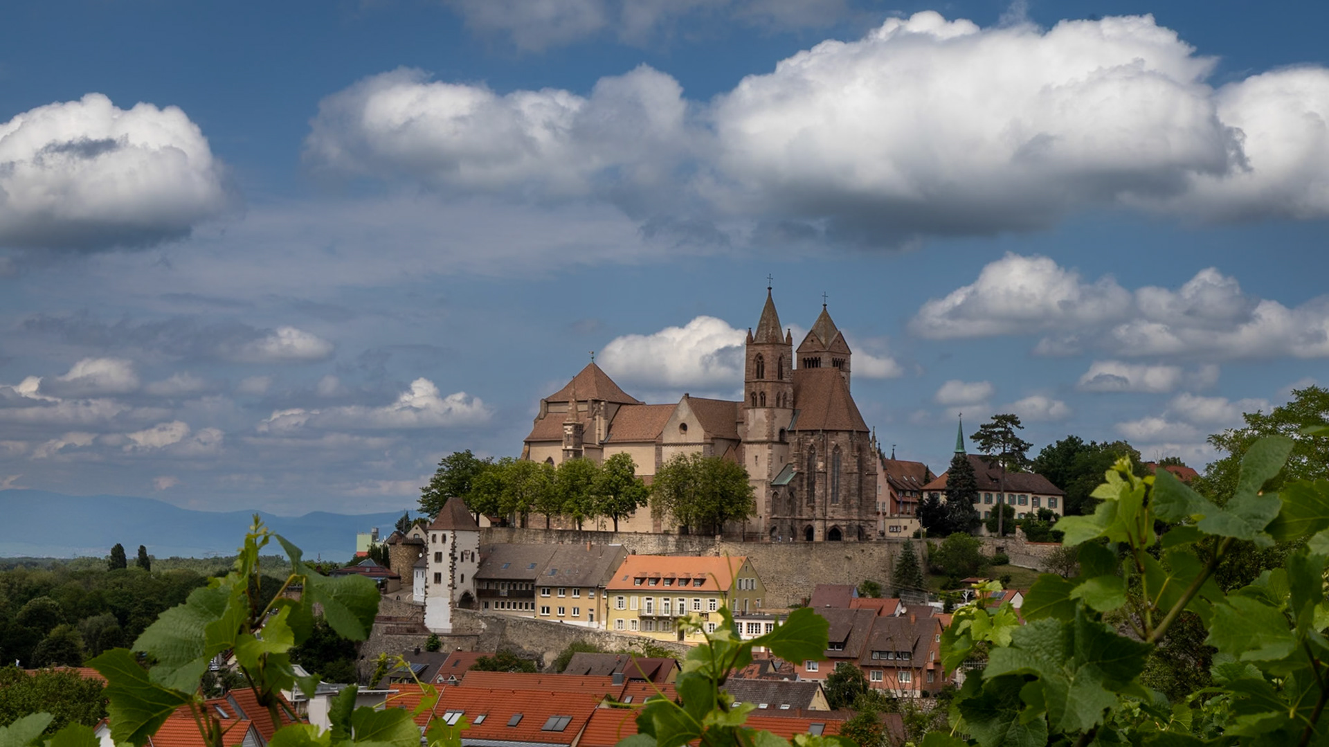 Breisacher Stephansdom