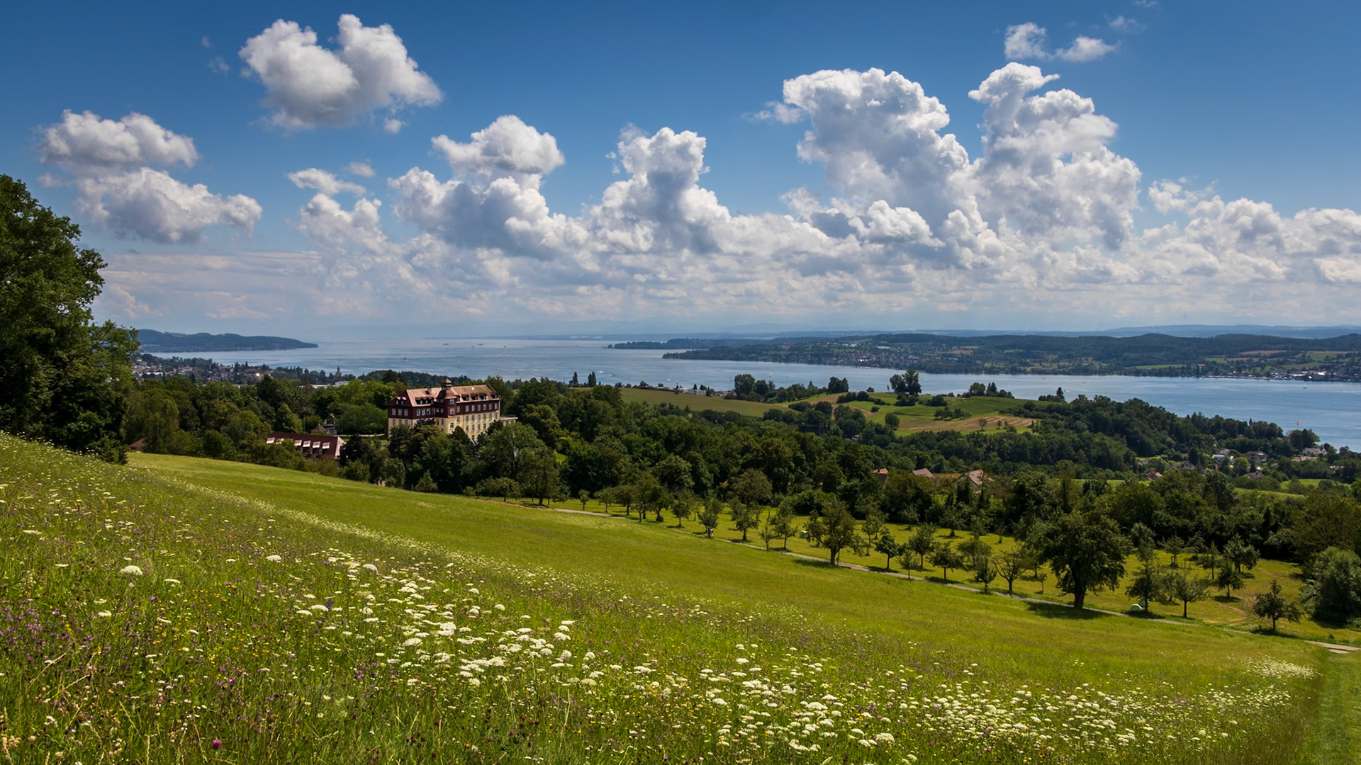 International College Salem, Blumenwiese, Überlingen, Bodensee, Überlinger See, Wolken