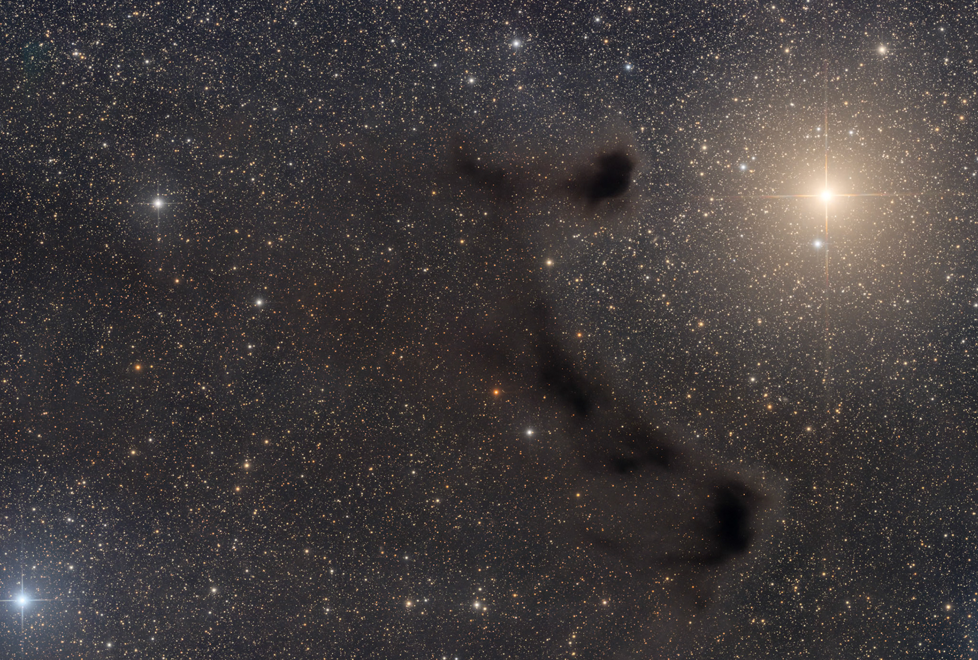 dark nebula