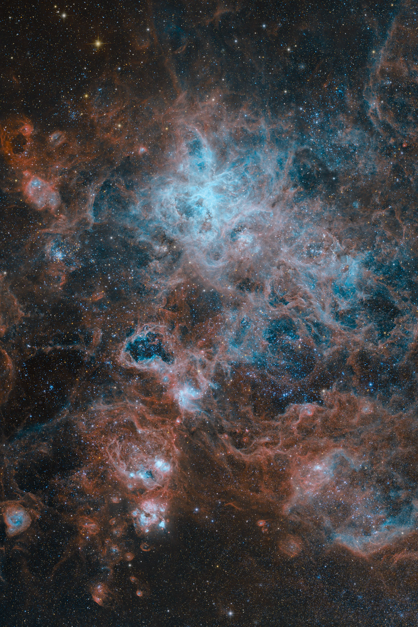 Tarantelnebel in der großen Magellanschen Wolke