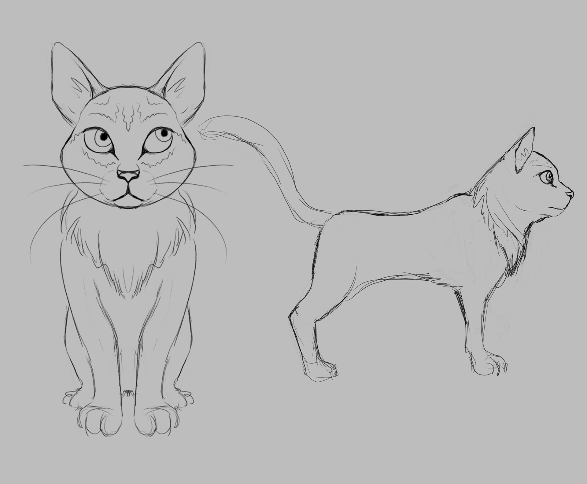 Cat Sketch