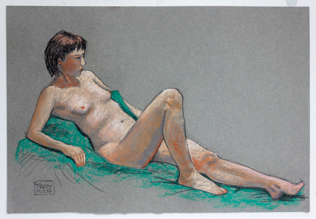 Anna 19, no11 2025, pastel on grey canson paper, 14 ¾ x21 ½", 37.5x55cm