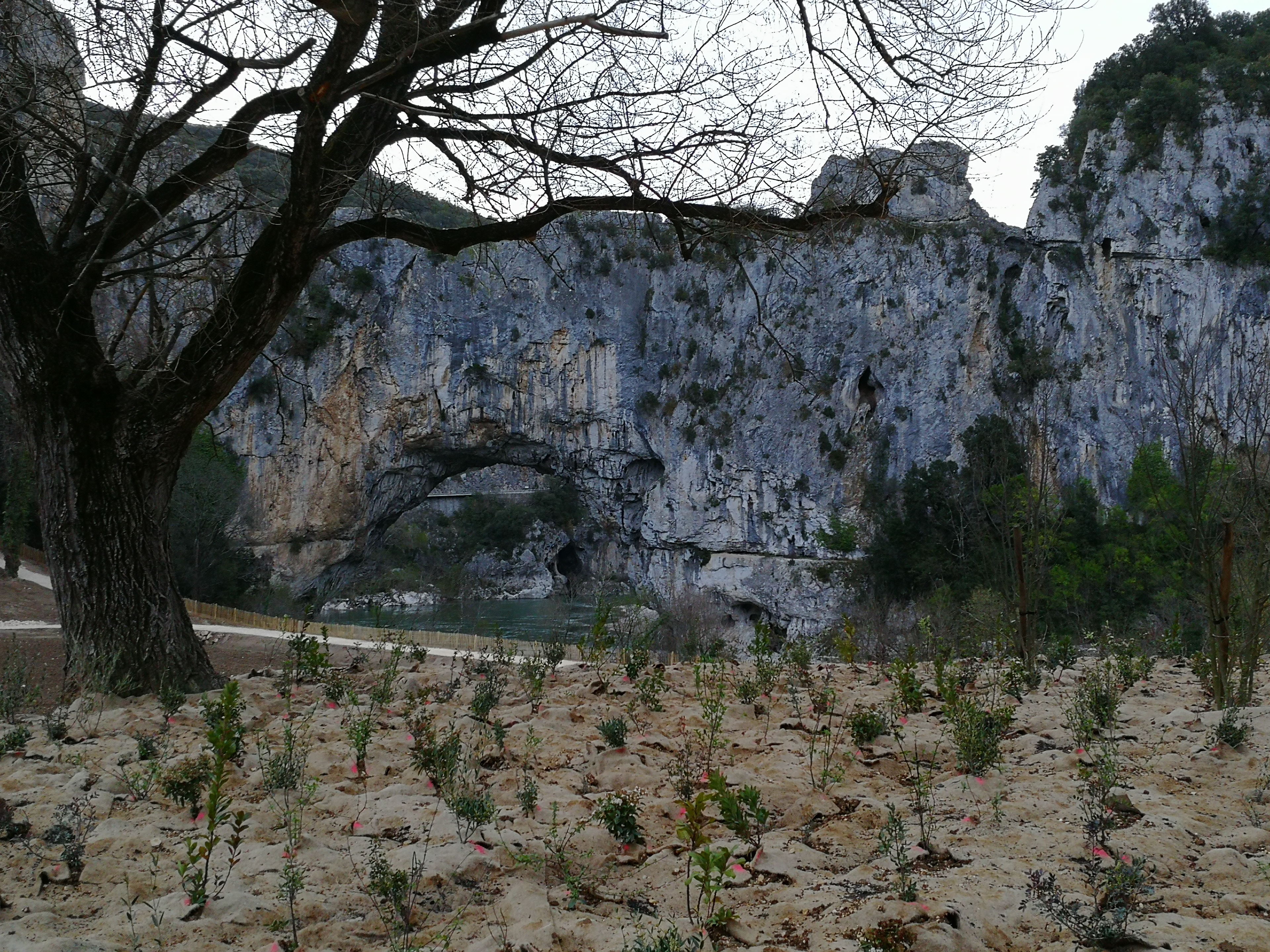 Vallon Pont-d'Arc