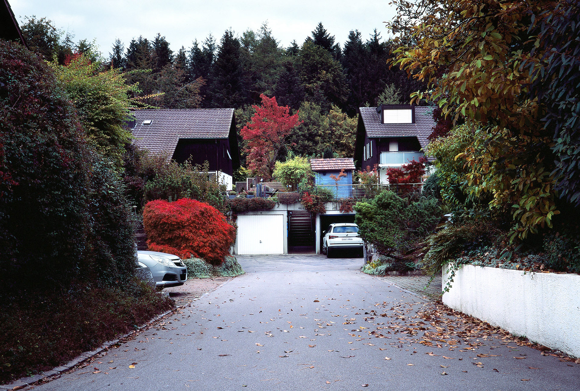 Grüt (2022)