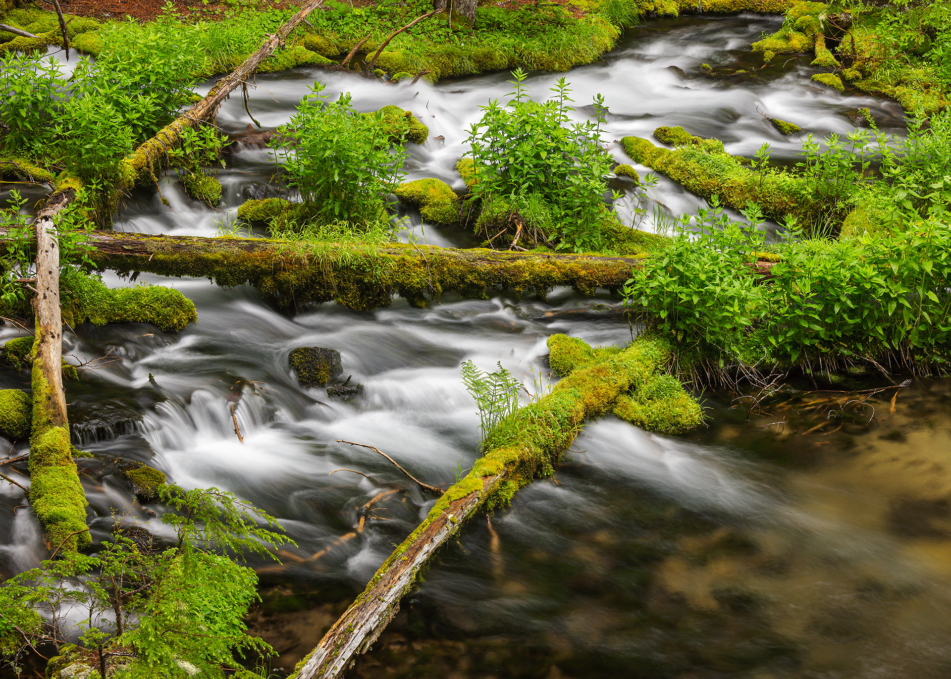 Log Garden, Oregon, USA