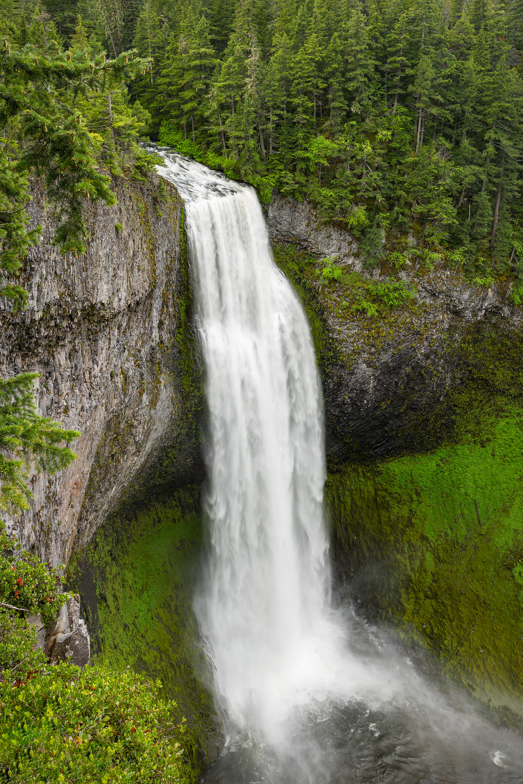 Spring Torrent, Oregon, USA
