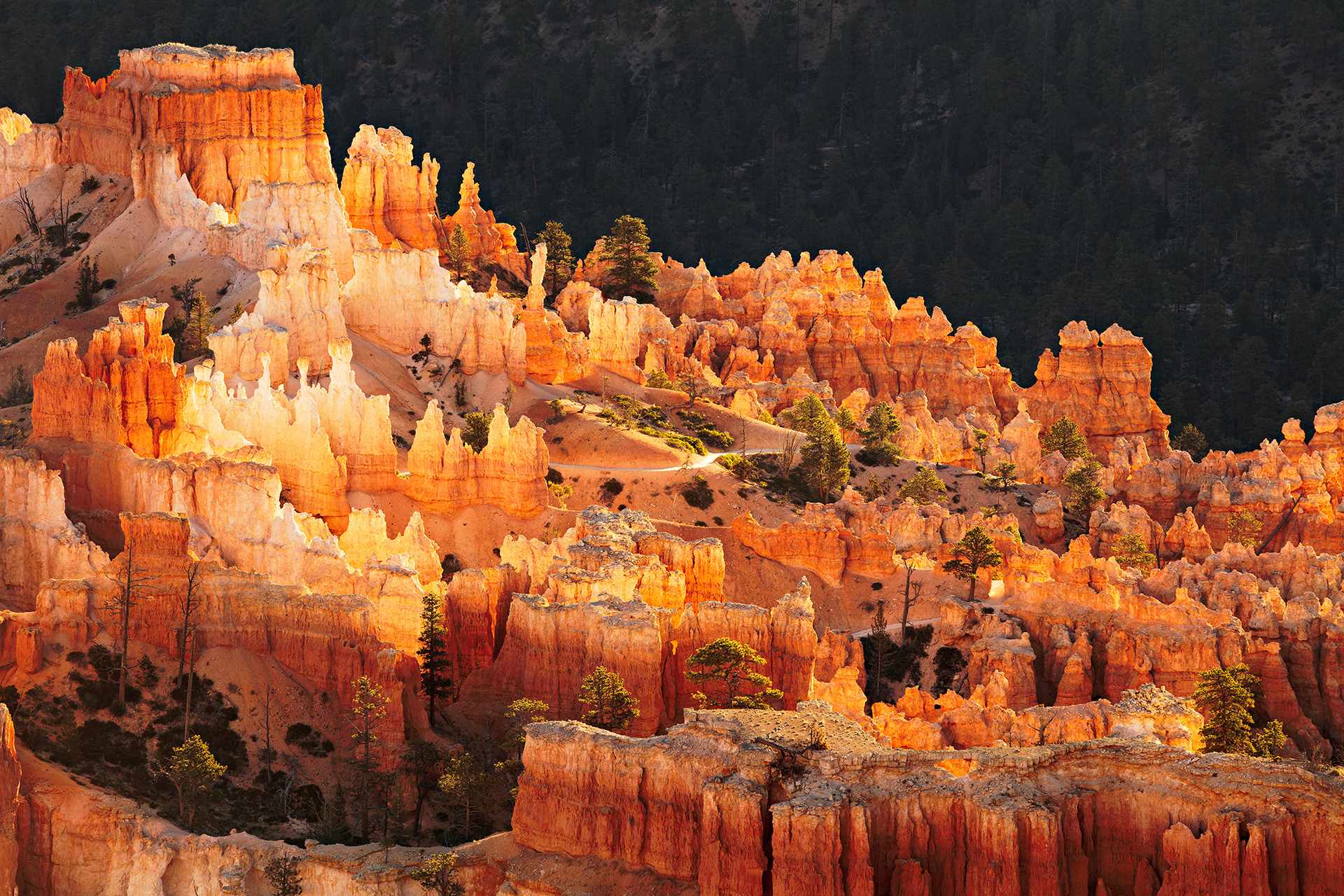 Backlit hoodoos at at sunrise in Bryce Canyon National Parkthat have the appearance of a city in the desert.
