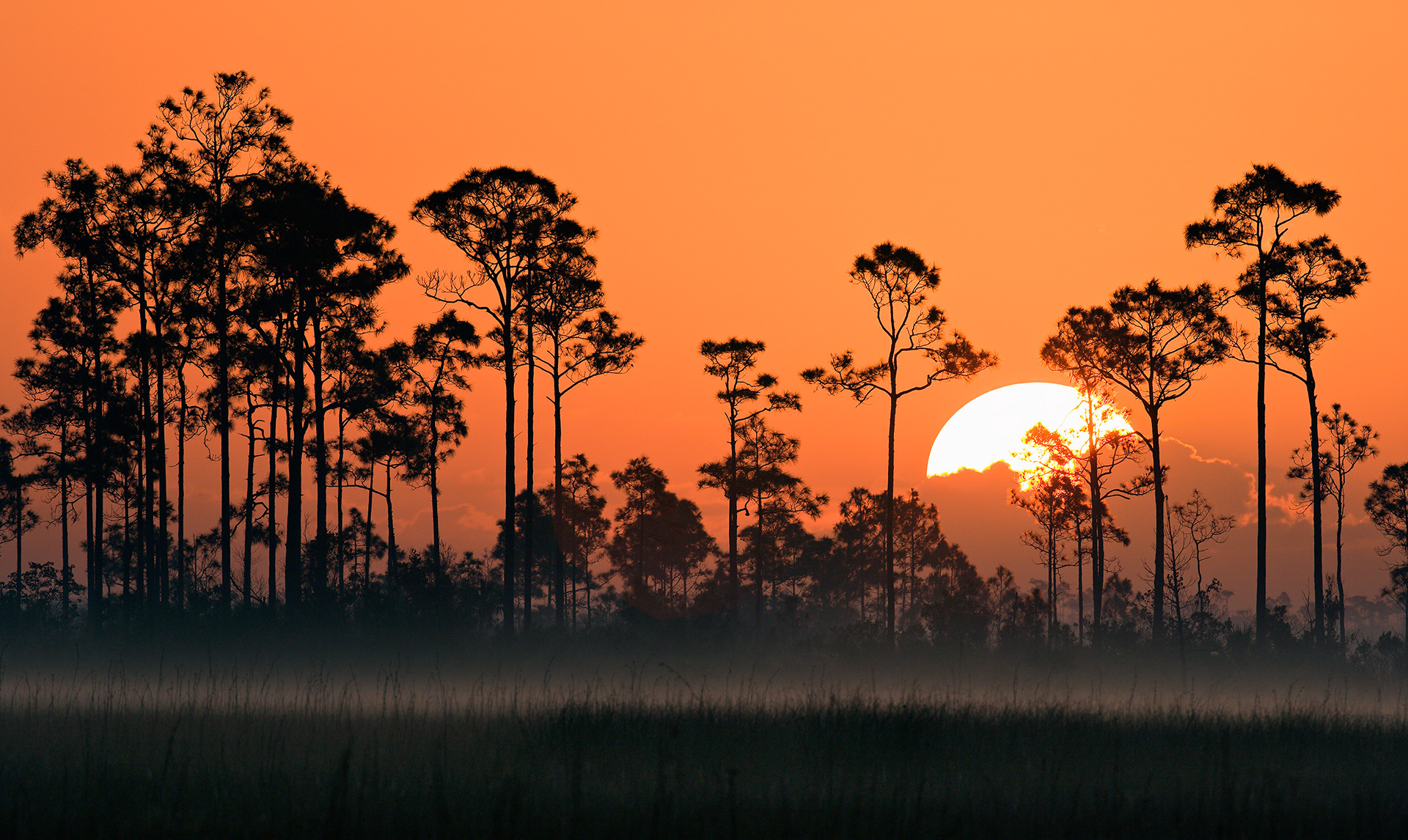 Pa-hay-okee Sunrise, Florida, USA